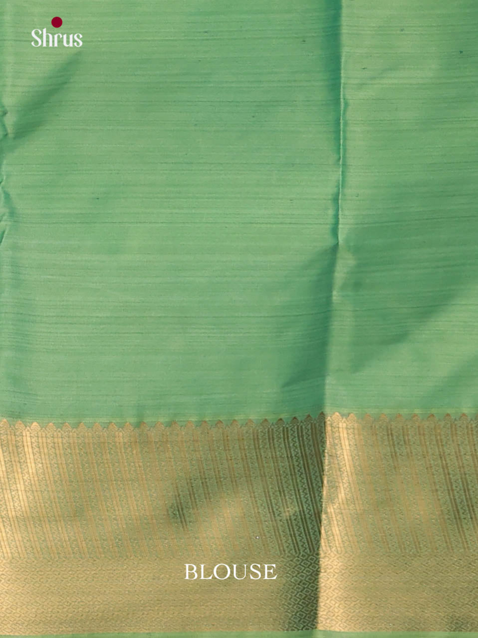 DJS29003 - Kanchipuram-halfpure Saree