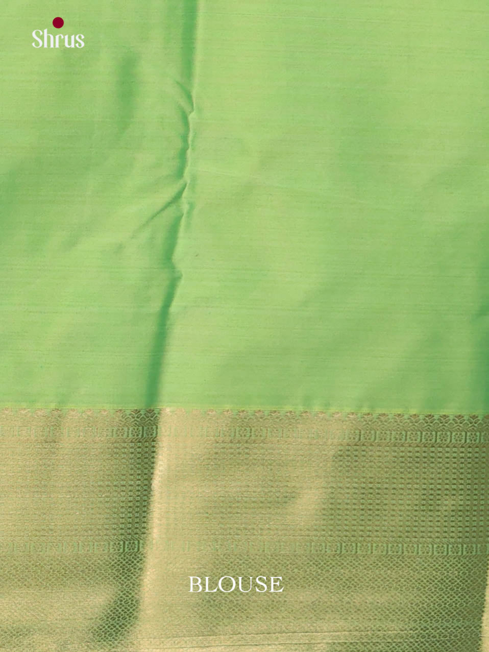 DJS29013 - Kanchipuram-halfpure Saree
