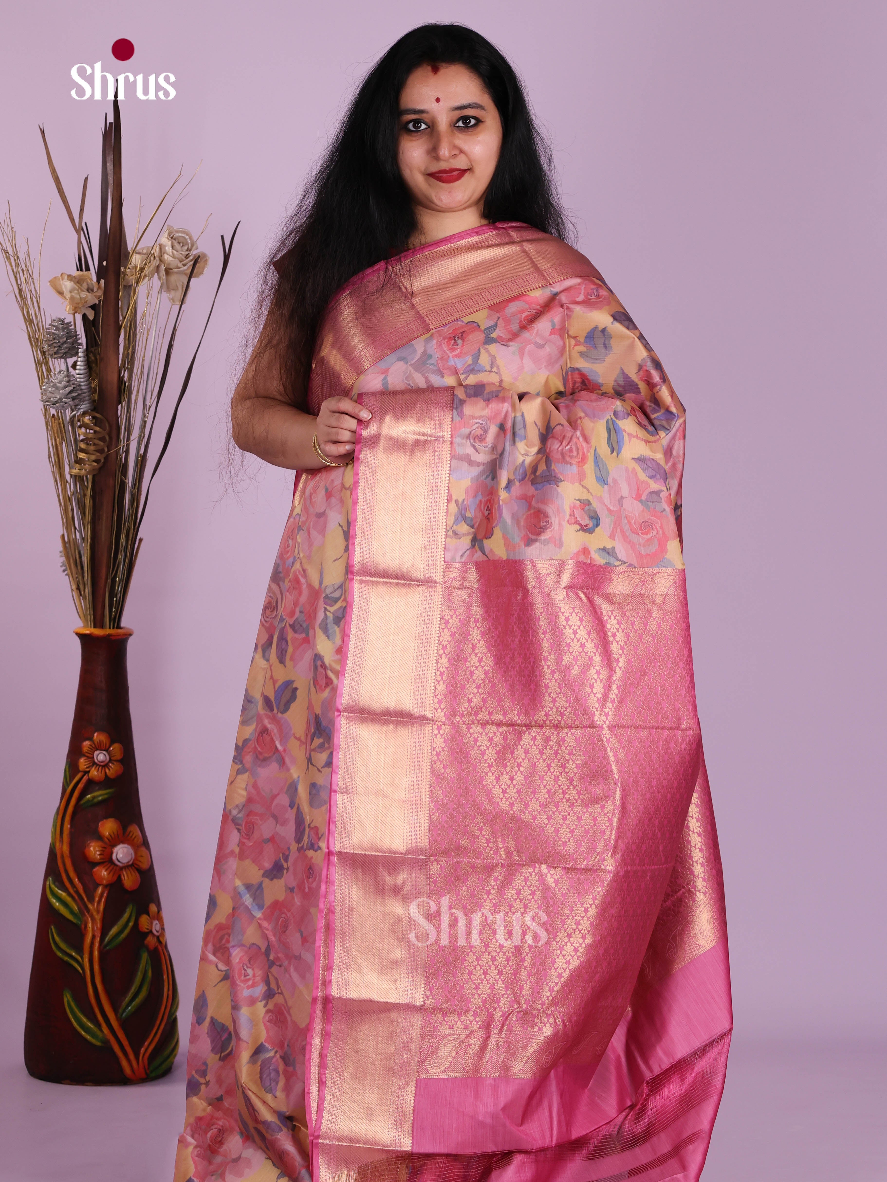 DJS29015 - Kanchipuram-halfpure Saree