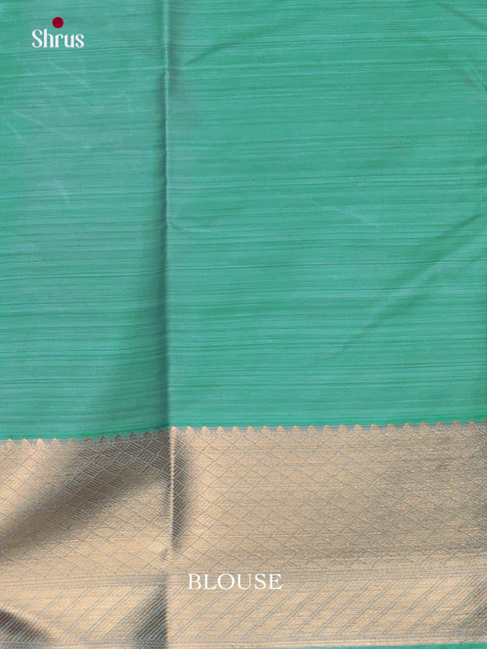 DJS29018 - Kanchipuram-halfpure Saree
