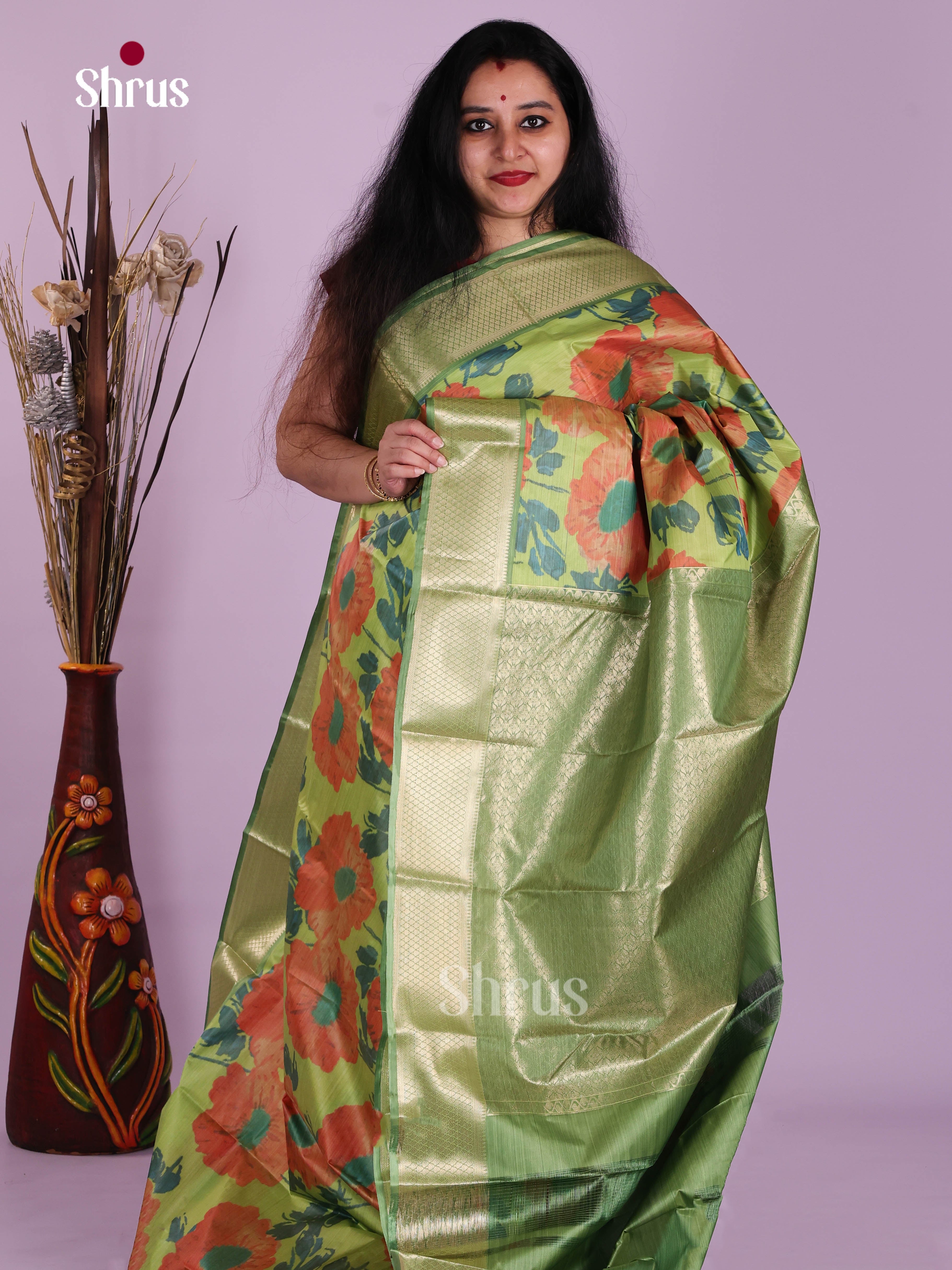 DJS29036 - Kanchipuram-halfpure Saree