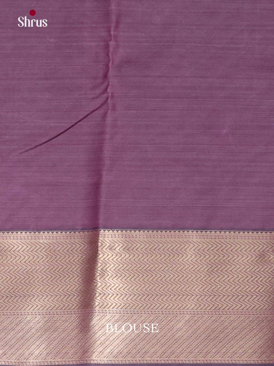 DJS29043 - Kanchipuram-halfpure Saree