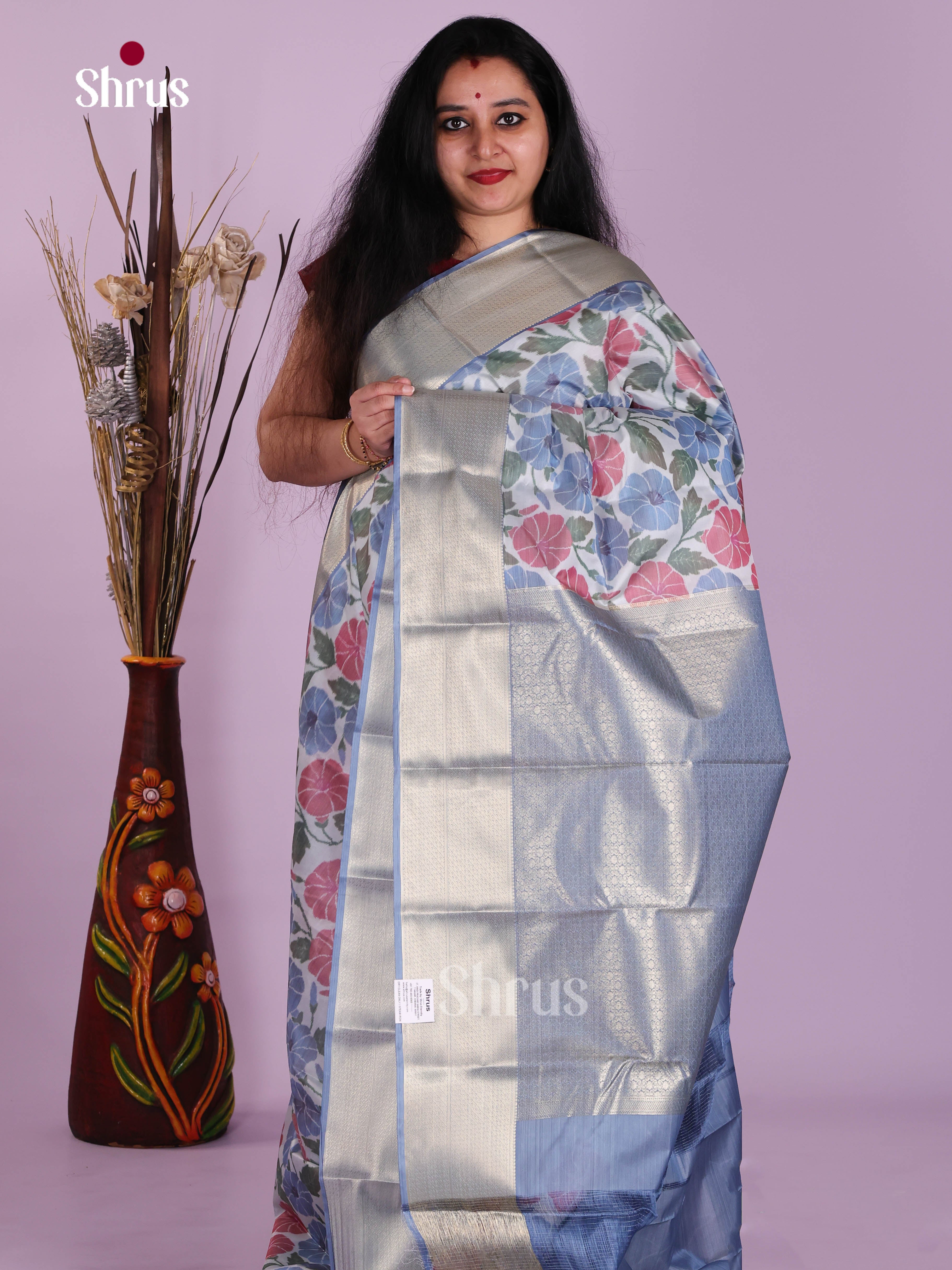 DJS29069 - Kanchipuram-halfpure Saree