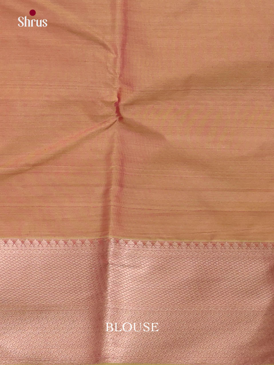DJS29070 - Kanchipuram-halfpure Saree