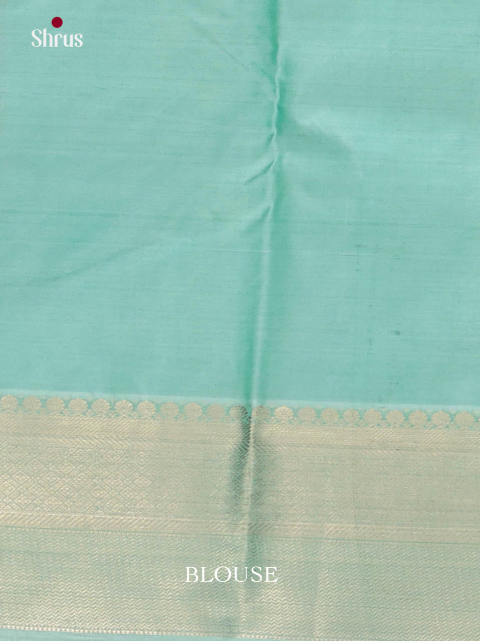 DJS29074 - Kanchipuram-halfpure Saree
