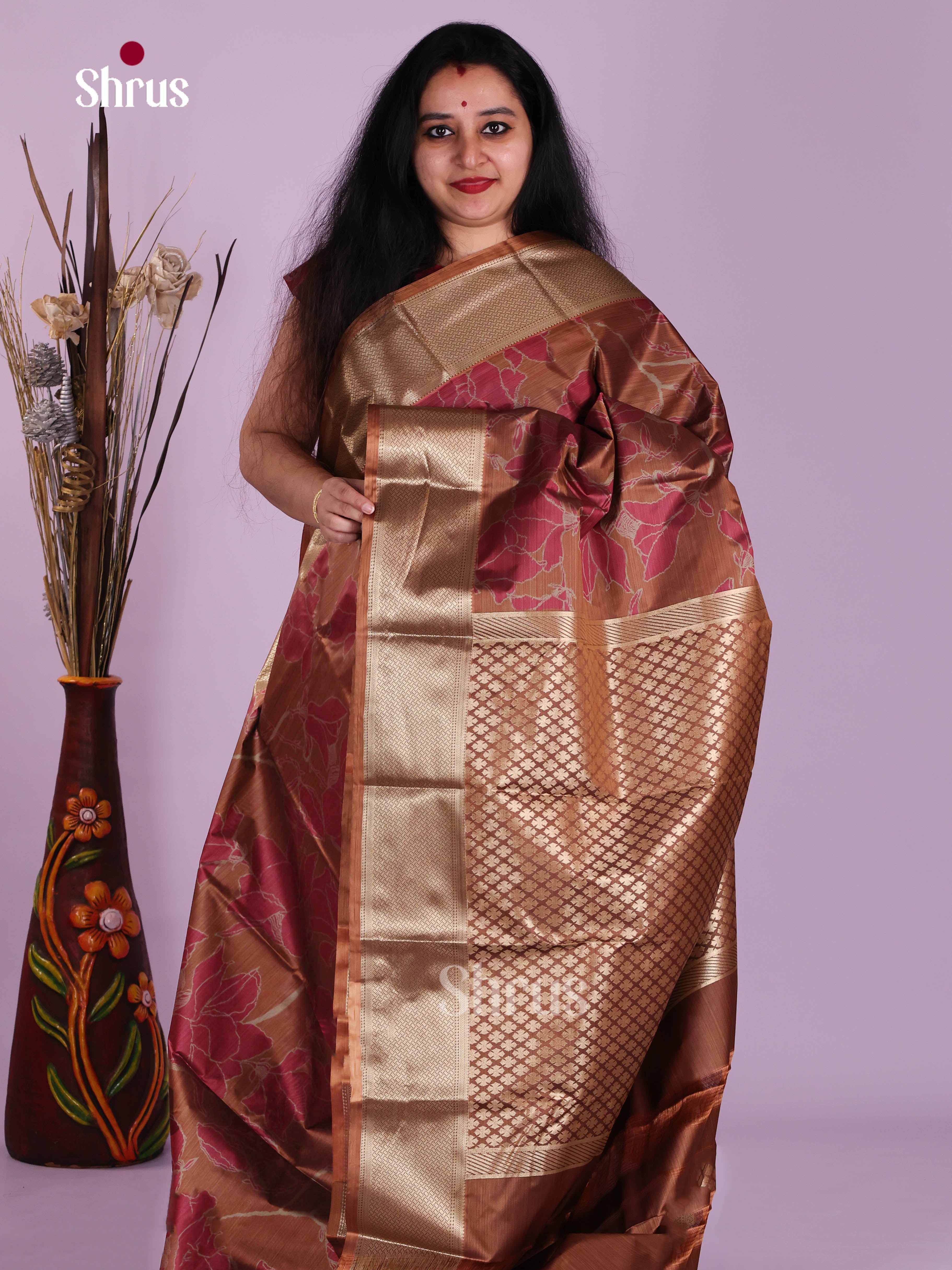 DJS29081 - Kanchipuram-halfpure Saree