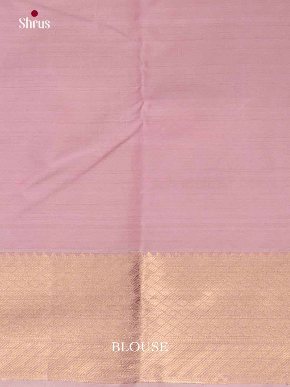 DJS29083 - Kanchipuram-halfpure Saree