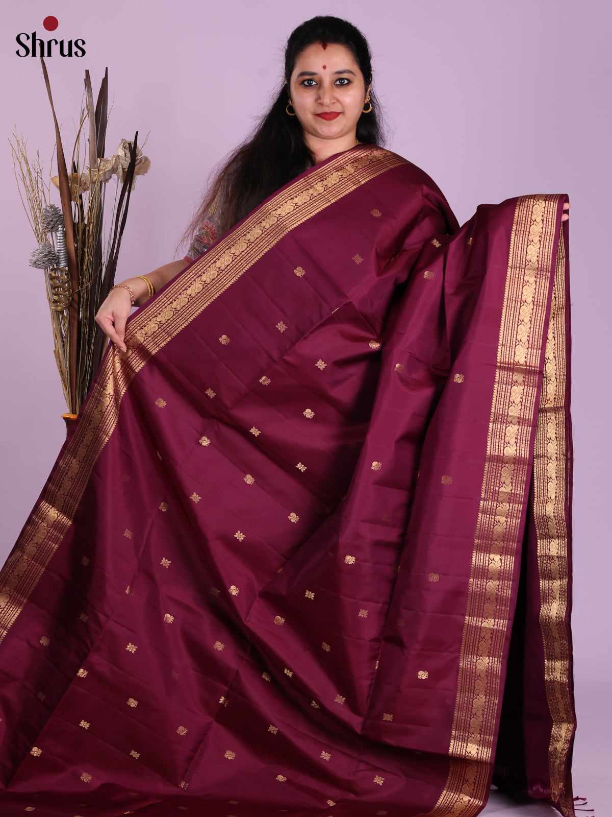 Graceful Maroon Monochrome Soft Silk Saree with gold zari peacock buttas