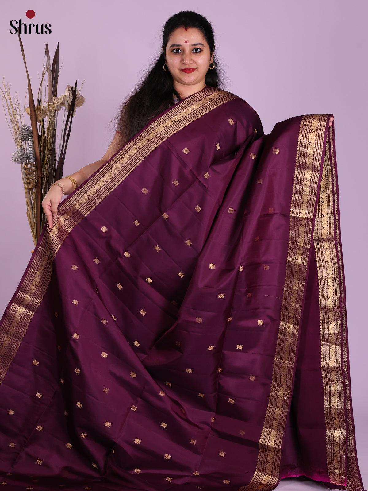 DJS30147 - Soft Silk (HR) Saree