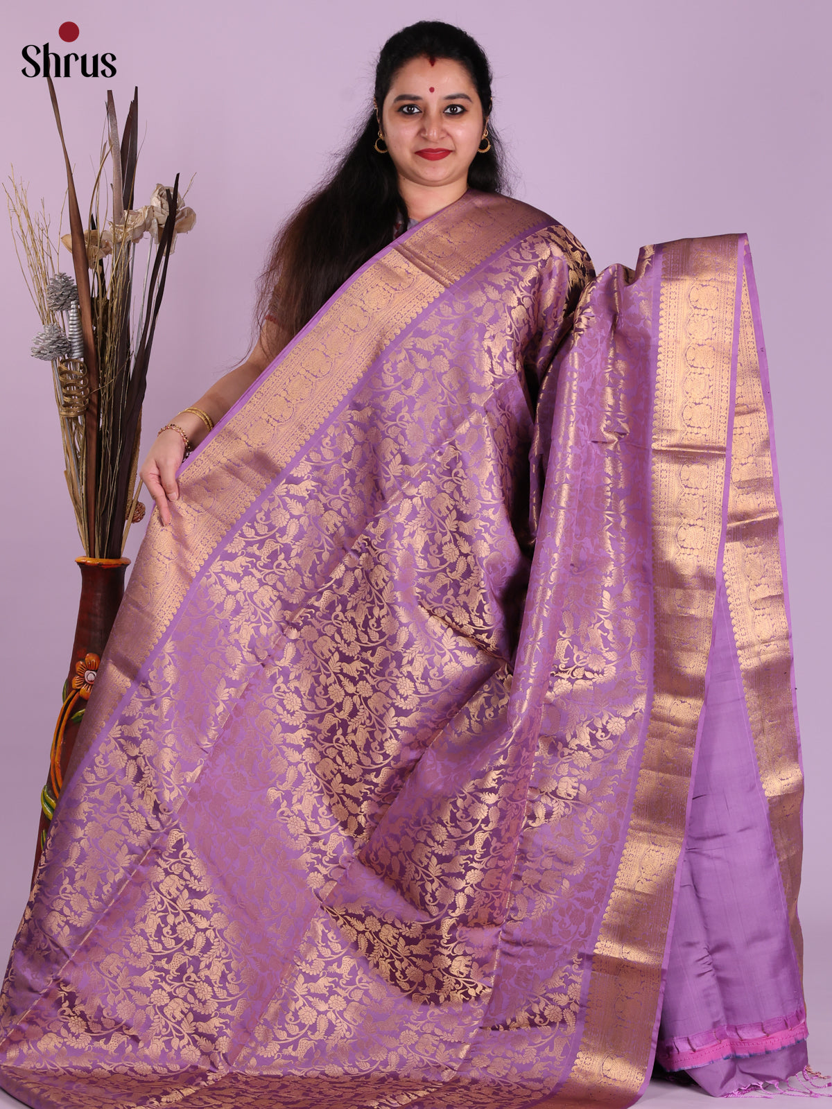 DJS30153 - Soft Silk (HR) Saree