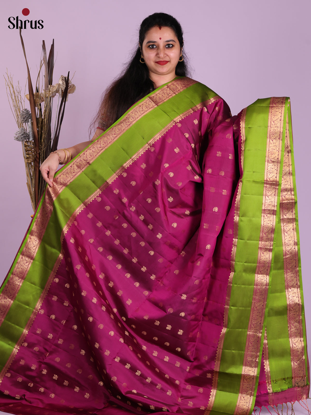 DJS30154 - Soft Silk (HR) Saree