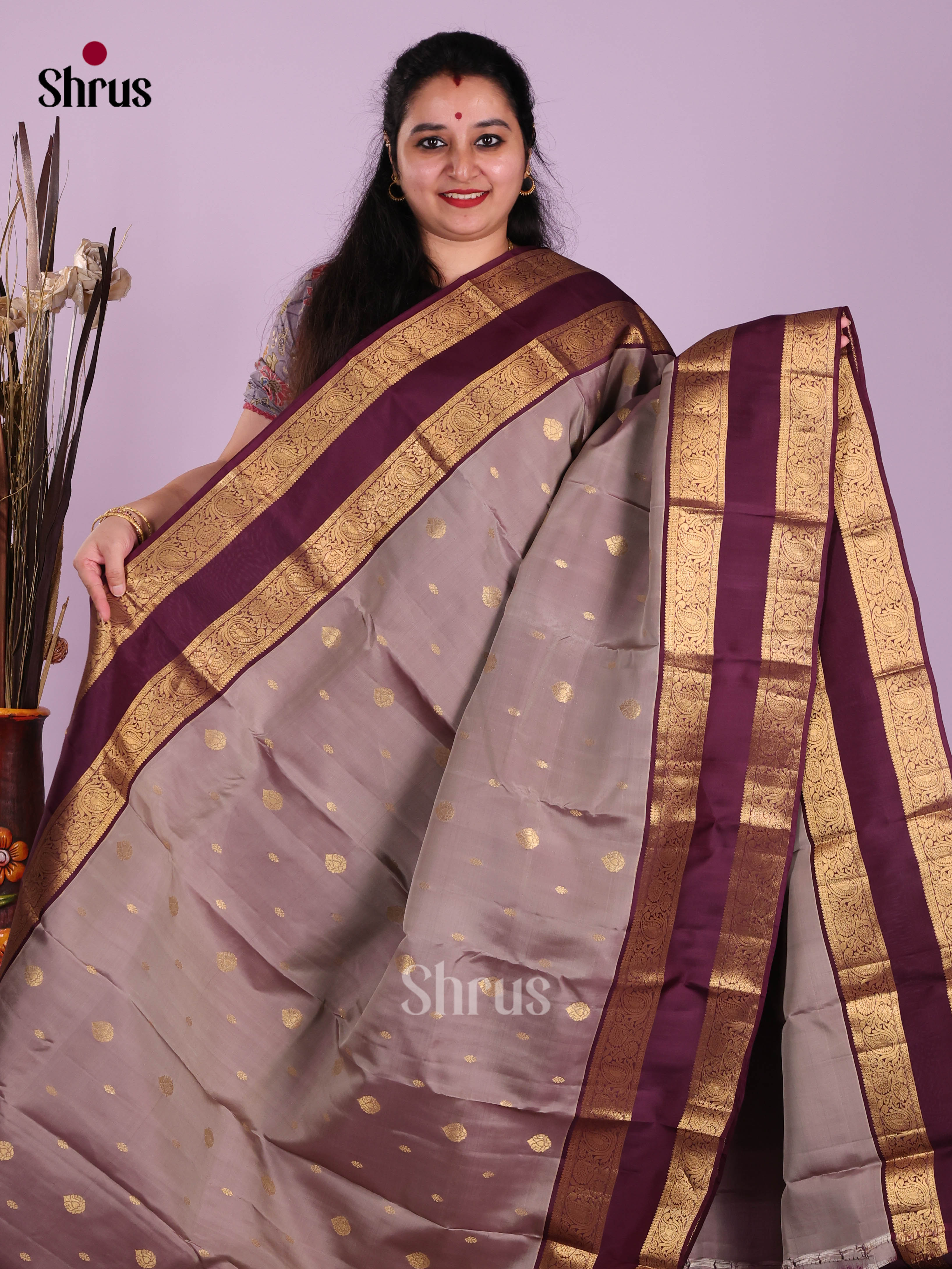 Grey & Purple - Kanchipuram-halfpure Saree