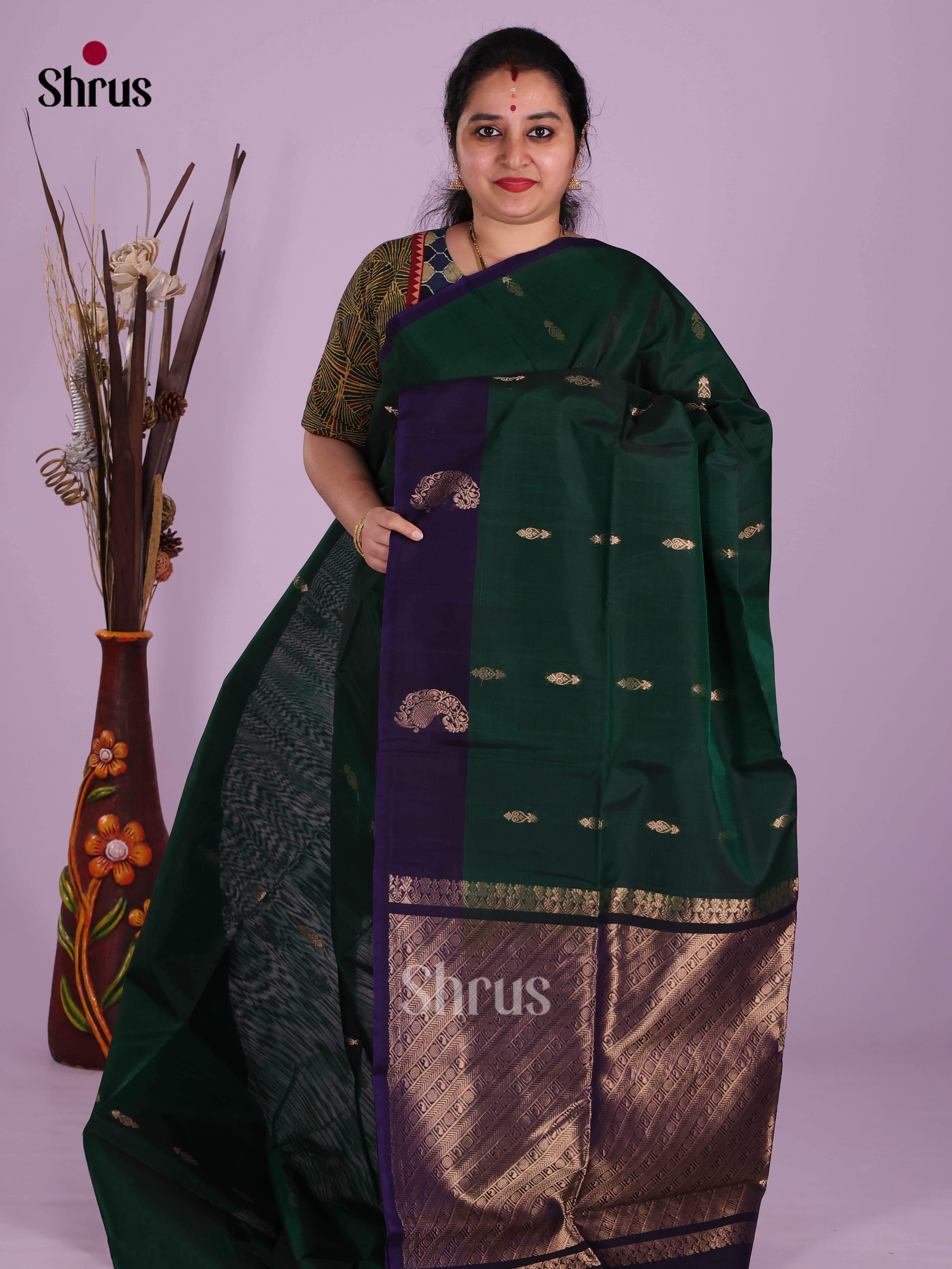 Green & Blue- Timeless Silk Cotton Saree