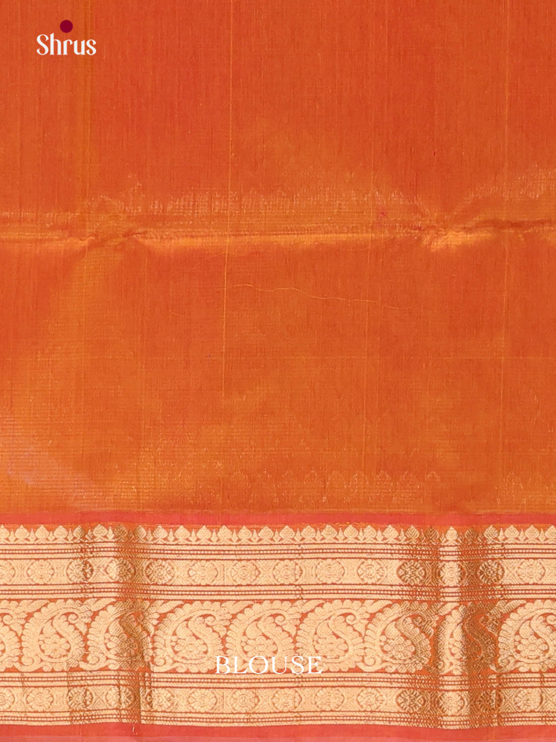Mustard & Brick - Timeless Silk Cotton Saree