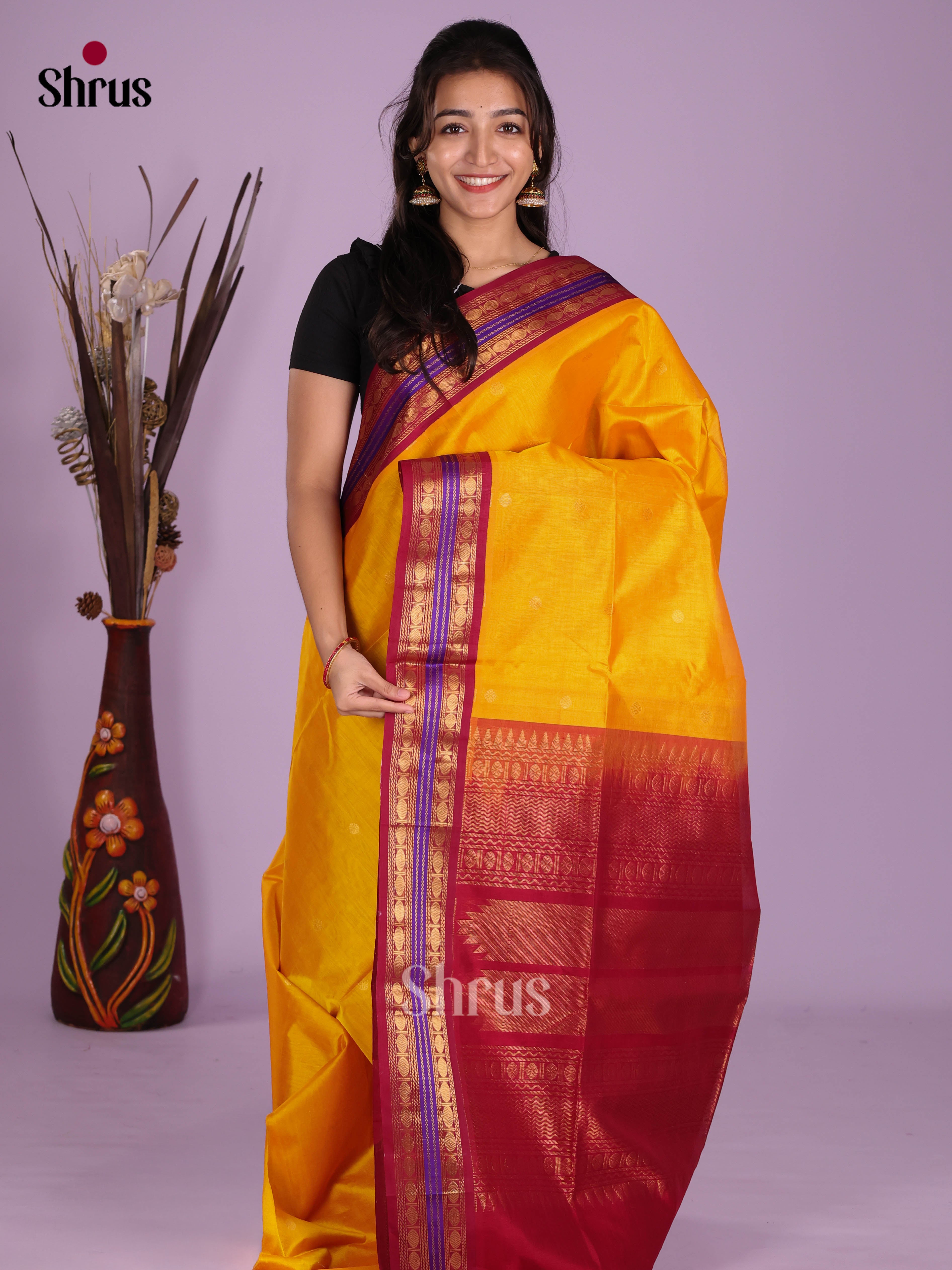 DKS08246 - Silk Cotton Saree