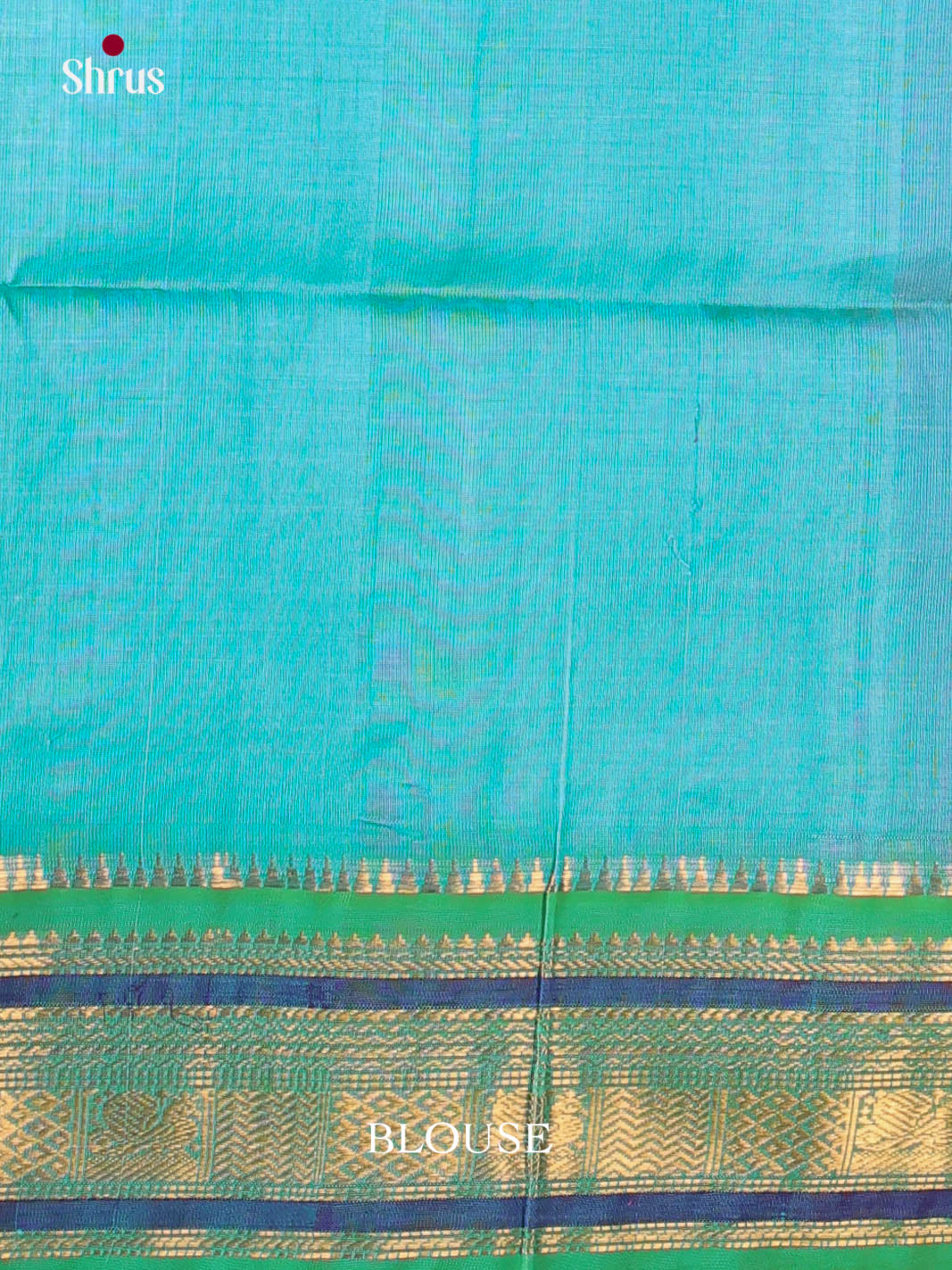 Charming Pink & teal Green Silk Cotton Saree with zari buttas