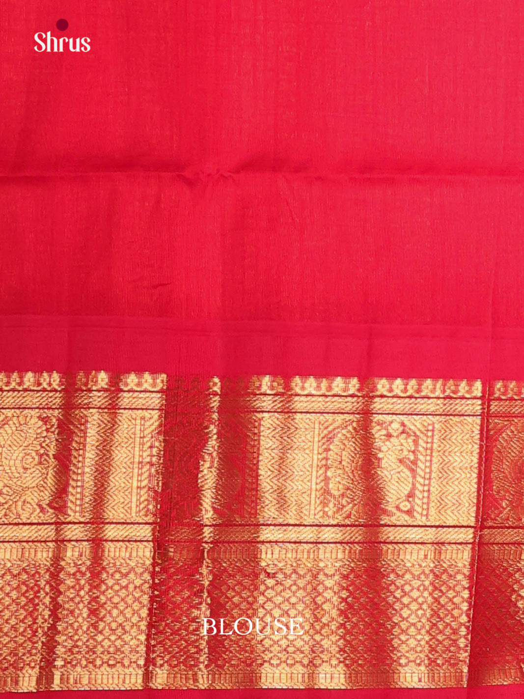 DKS08324 - Silk Cotton Saree - Shop on Shrus.com