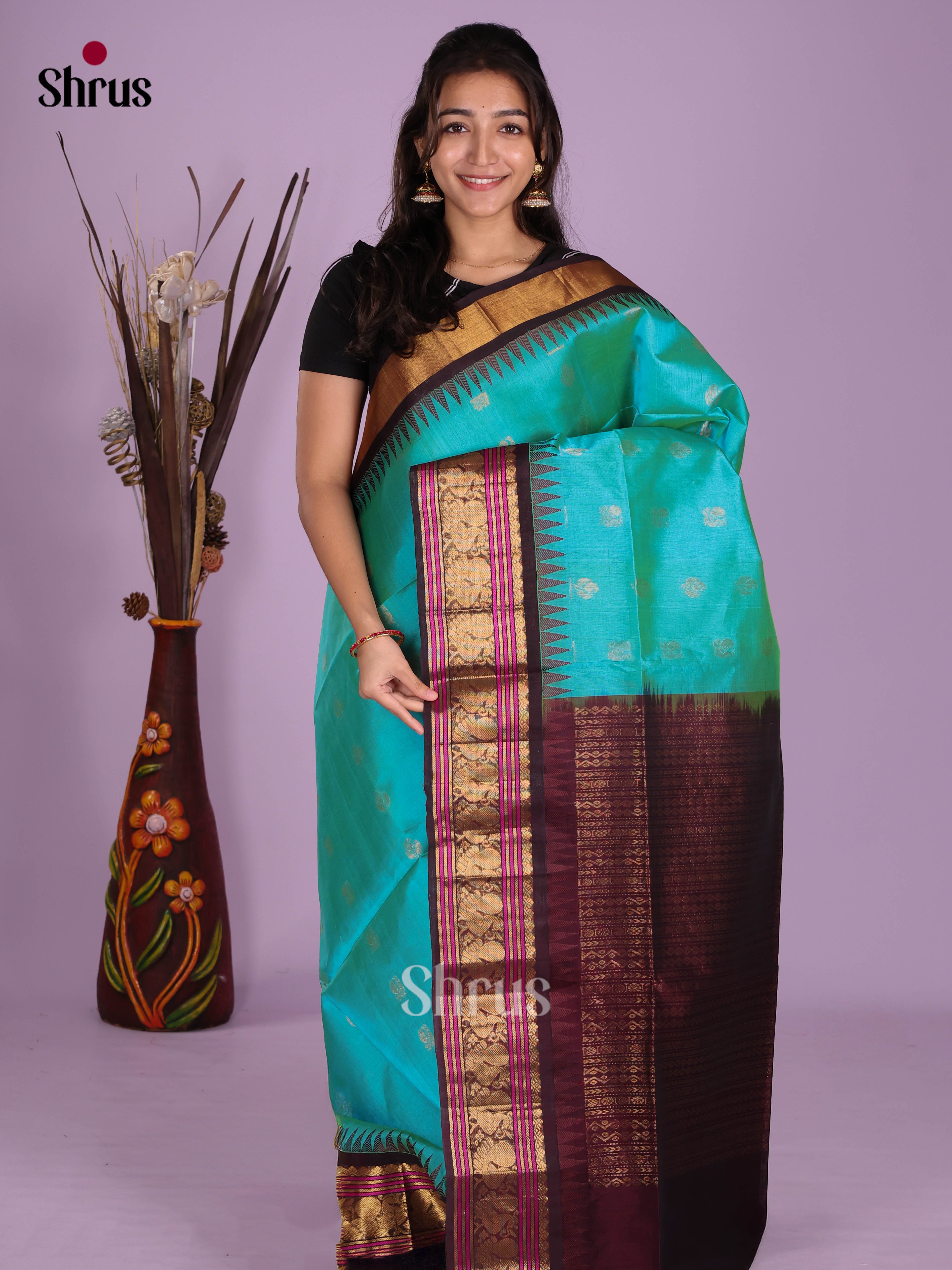 Sky Blue & brown - Silk Cotton Saree