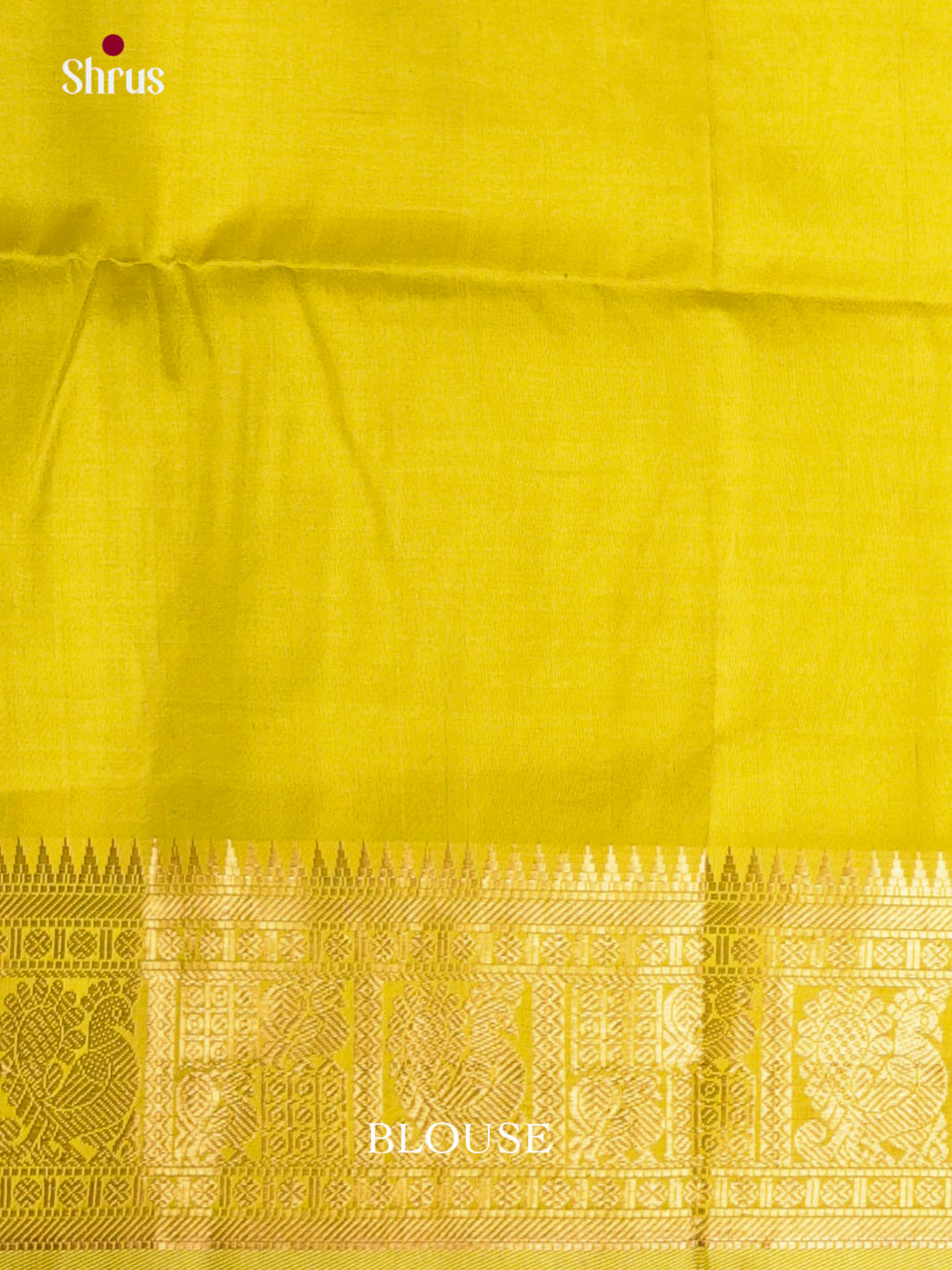 DKS08330 - Silk Cotton Saree - Shop on Shrus.com