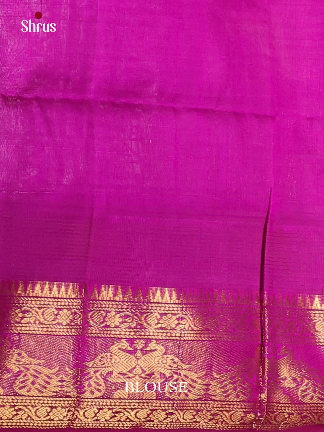 DKS08339 - Silk Cotton Saree - Shop on Shrus.com