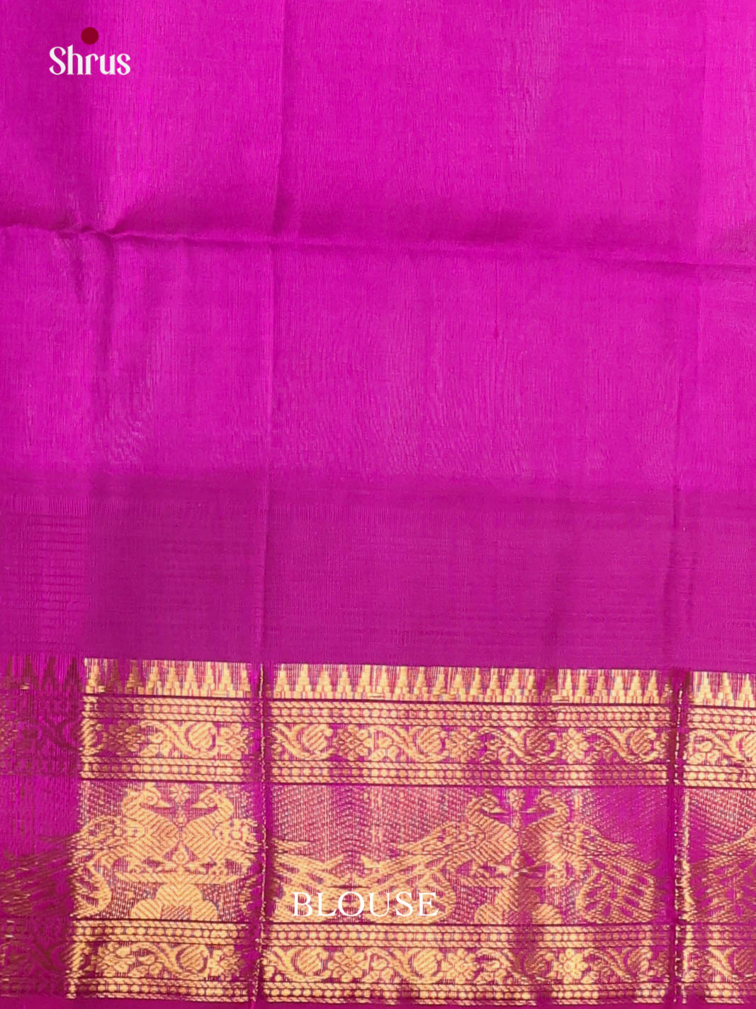 DKS08346 - Silk Cotton Saree - Shop on Shrus.com
