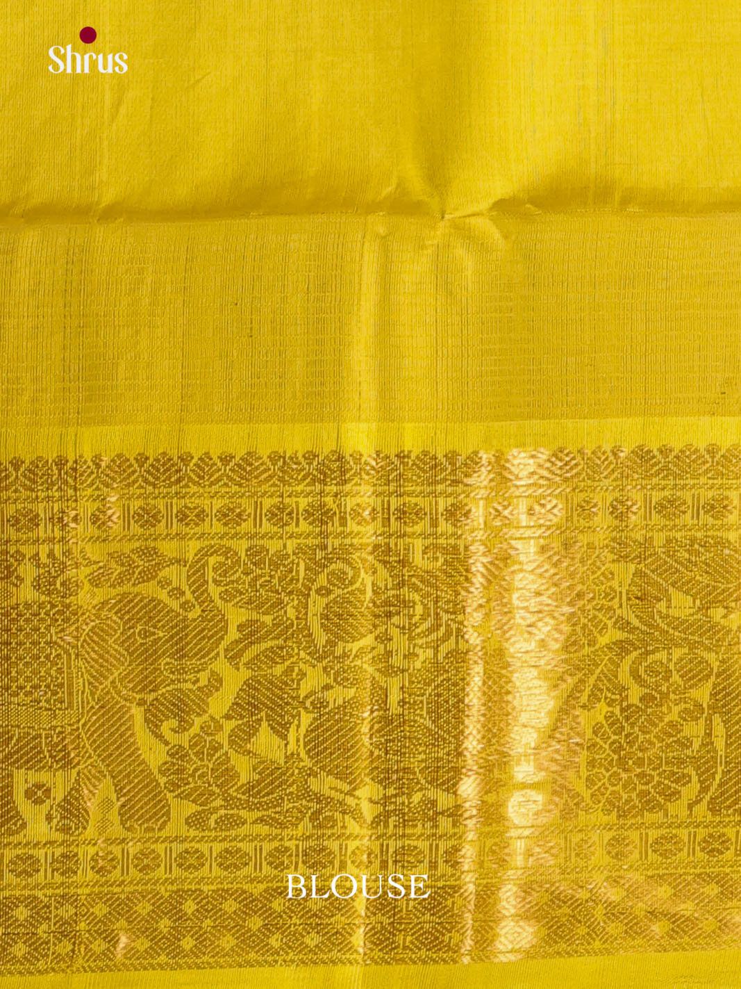 DKS08358 - Silk Cotton Saree - Shop on Shrus.com