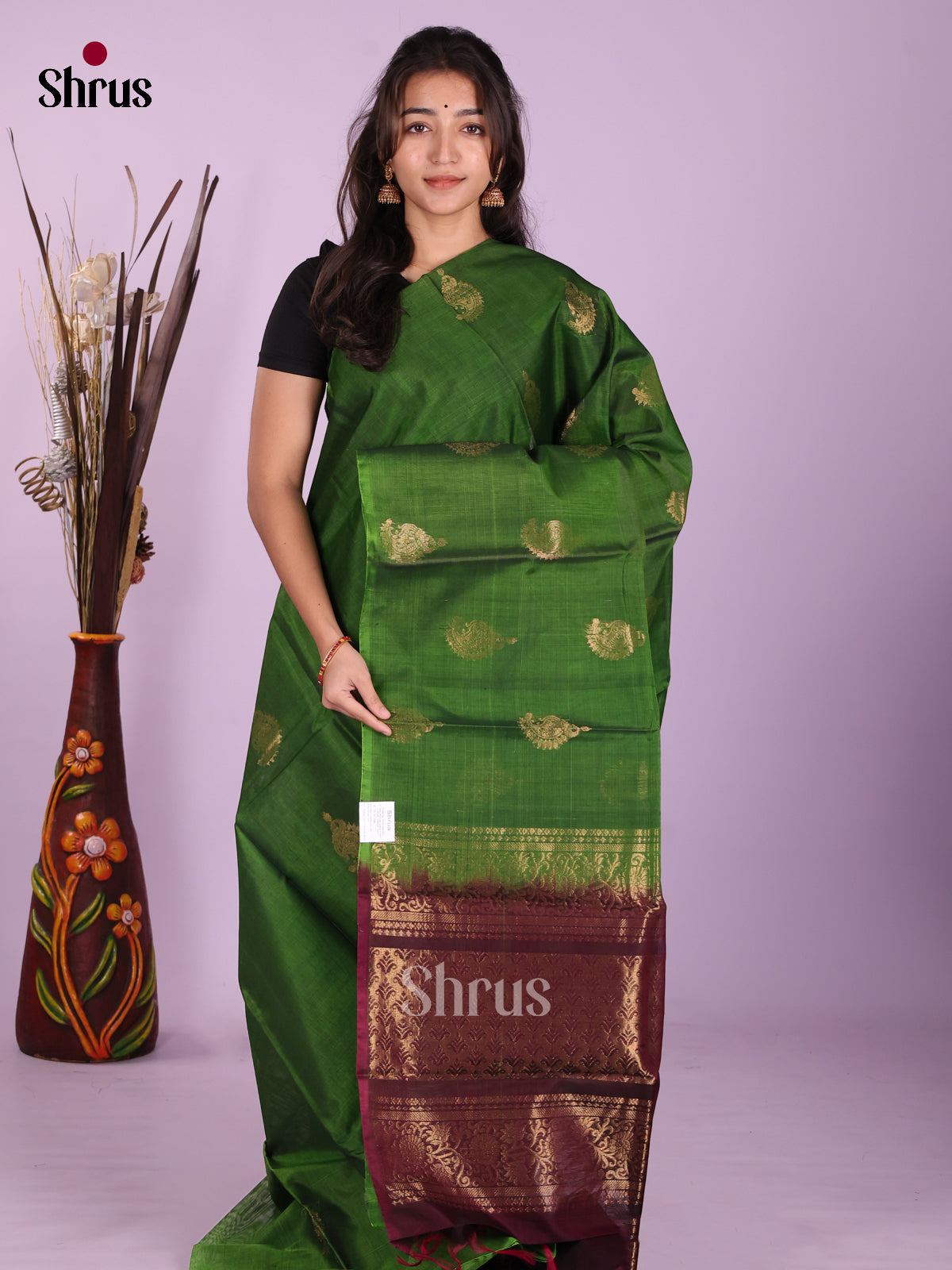 DKS08383 - Timeless Silk Cotton Saree - Shop on Shrus.com