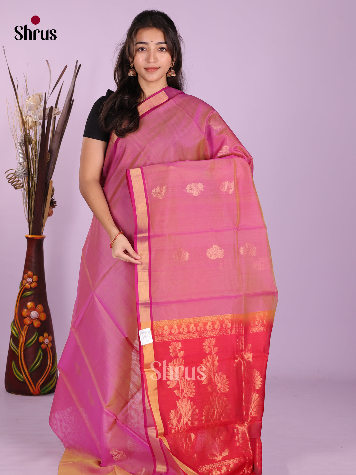 DKS08384 - Timeless Silk Cotton Saree