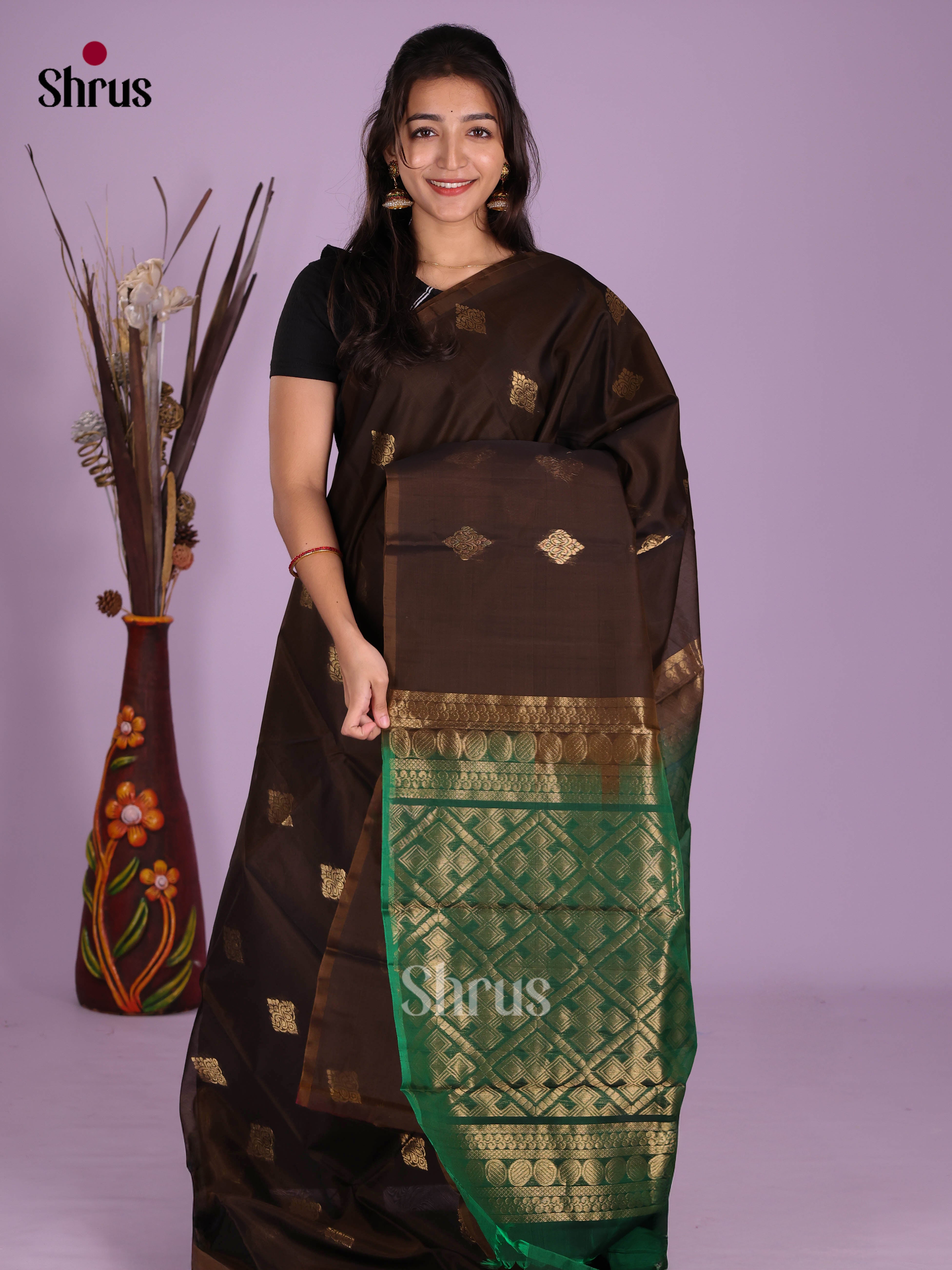 DKS08385 - Timeless Silk Cotton Saree