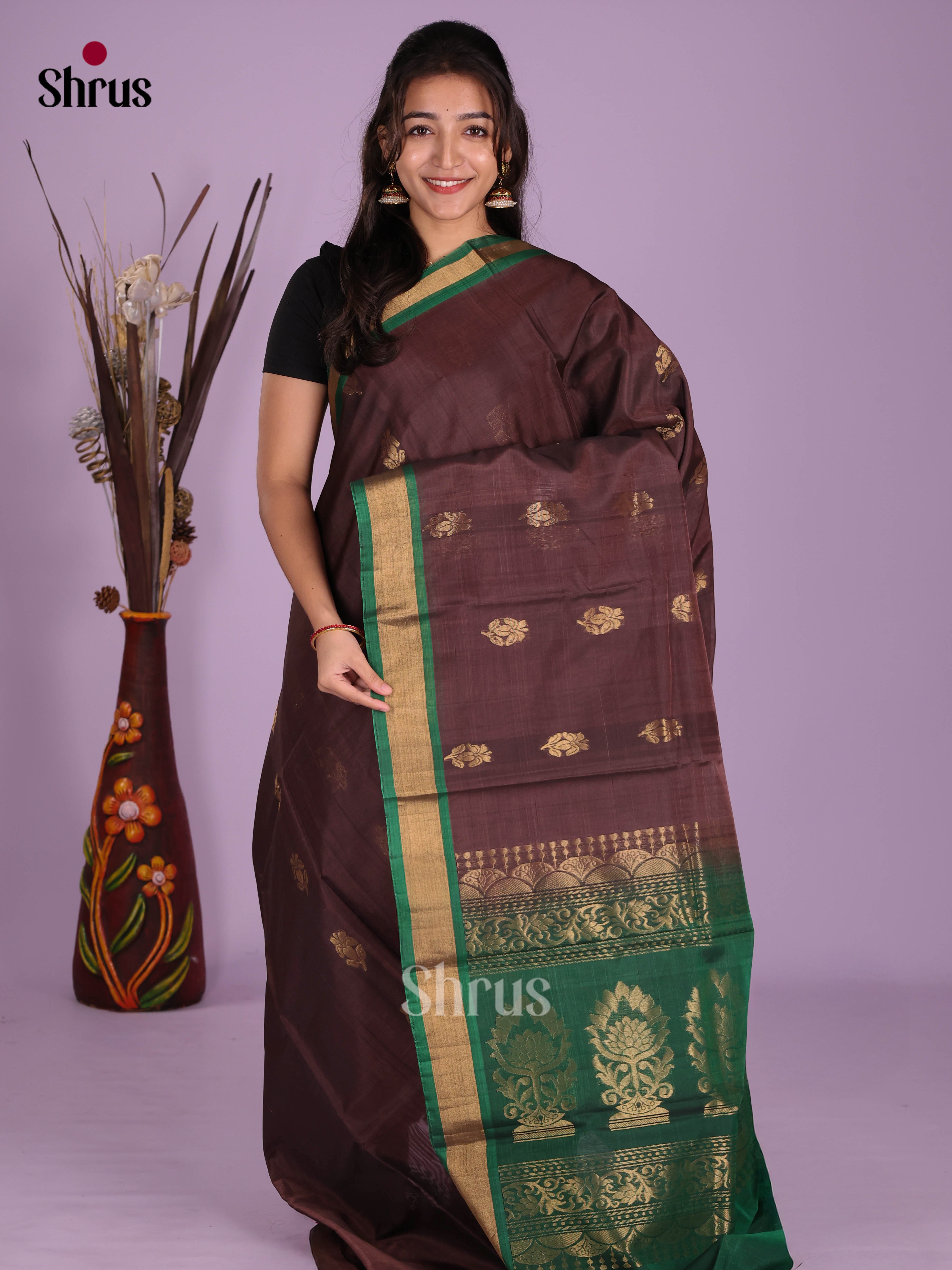 Brown & Green - Timeless Silk Cotton Saree