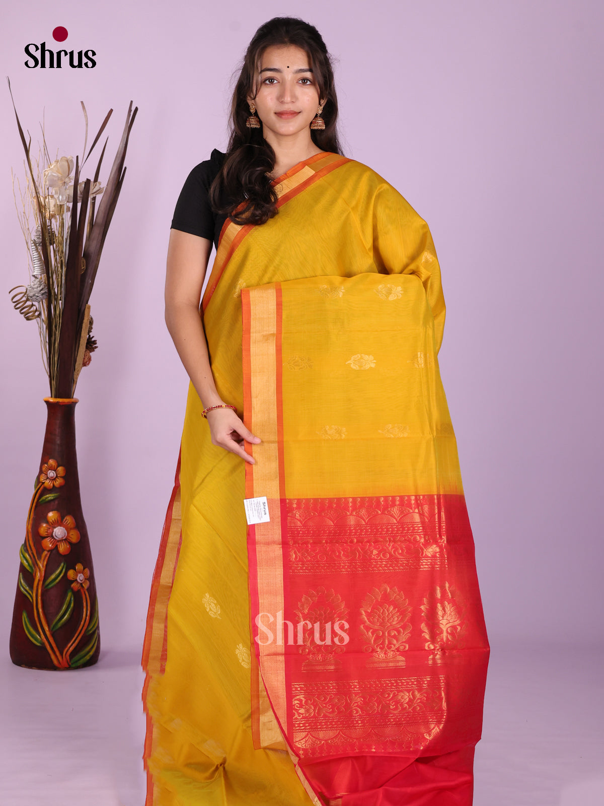 DKS08394 - Timeless Silk Cotton Saree