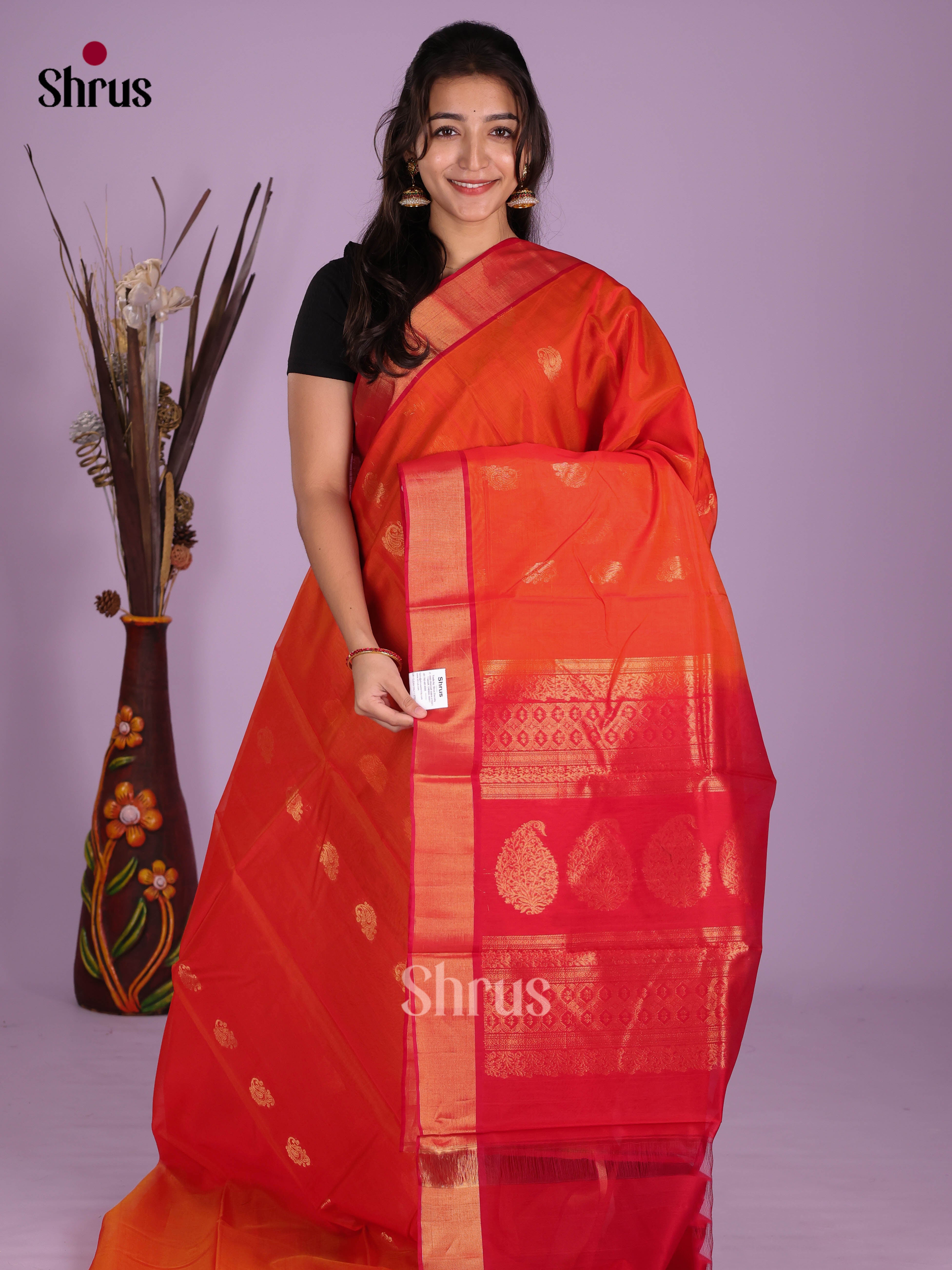 DKS08395 - Timeless Silk Cotton Saree