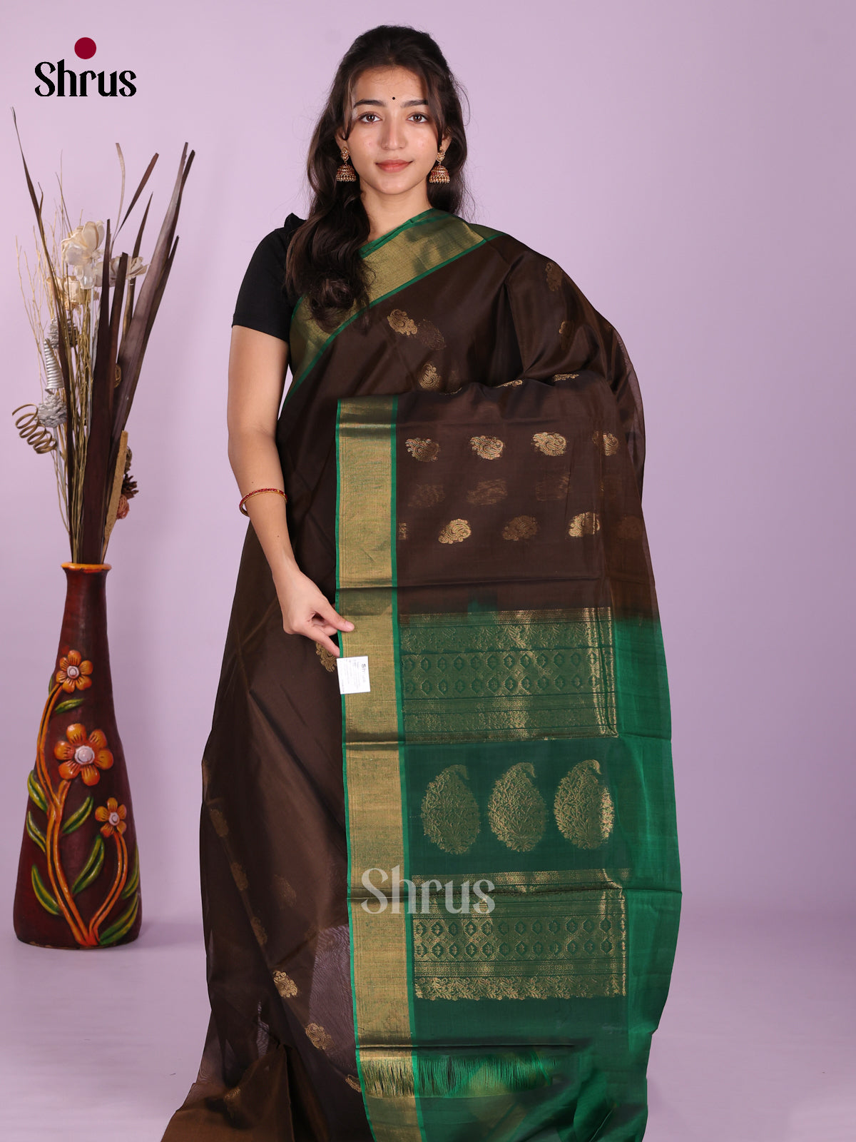 DKS08397 - Timeless Silk Cotton Saree - Shop on Shrus.com