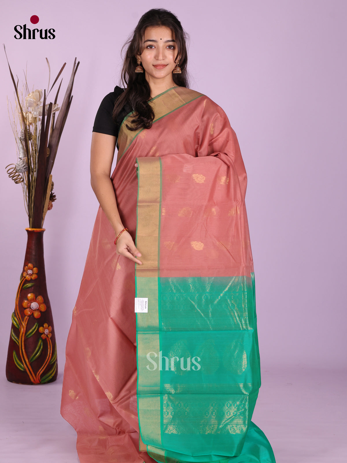 Dusty Brown & Green - Timeless Silk Cotton Saree