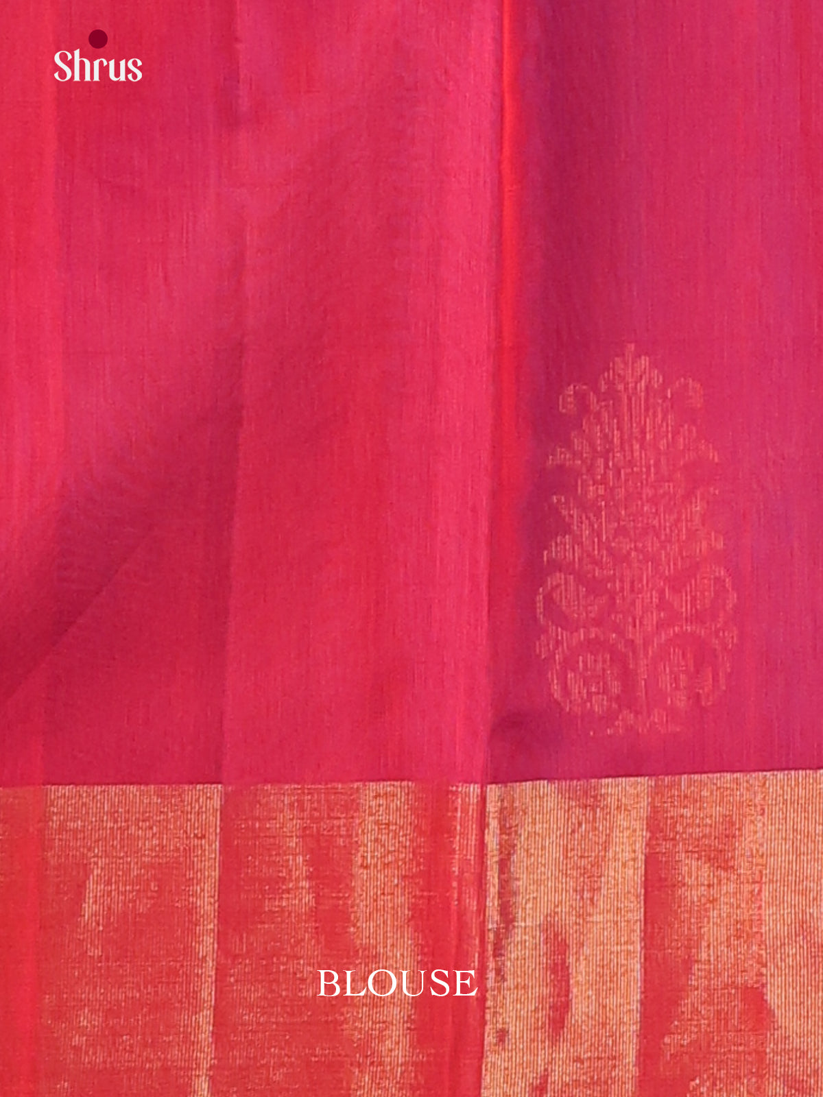 Blue & Red - Timeless Silk Cotton Saree