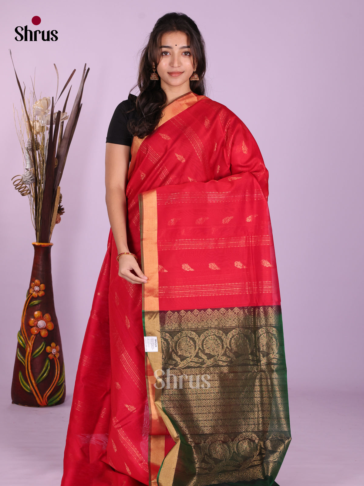 Red & Green - Timeless Silk Cotton Saree - Shop on Shrus.com