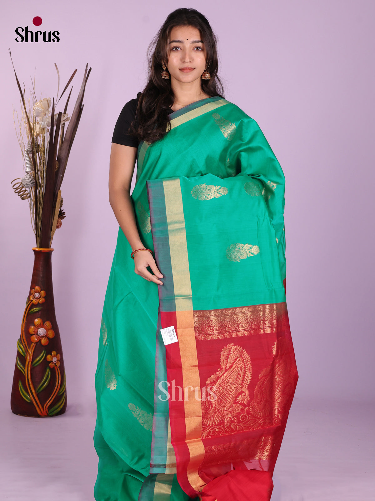 Green & Red - Timeless Silk Cotton Saree