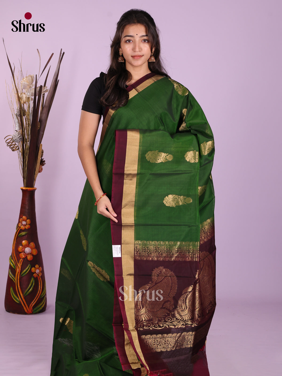 Green & Maroon - Timeless Silk Cotton Saree