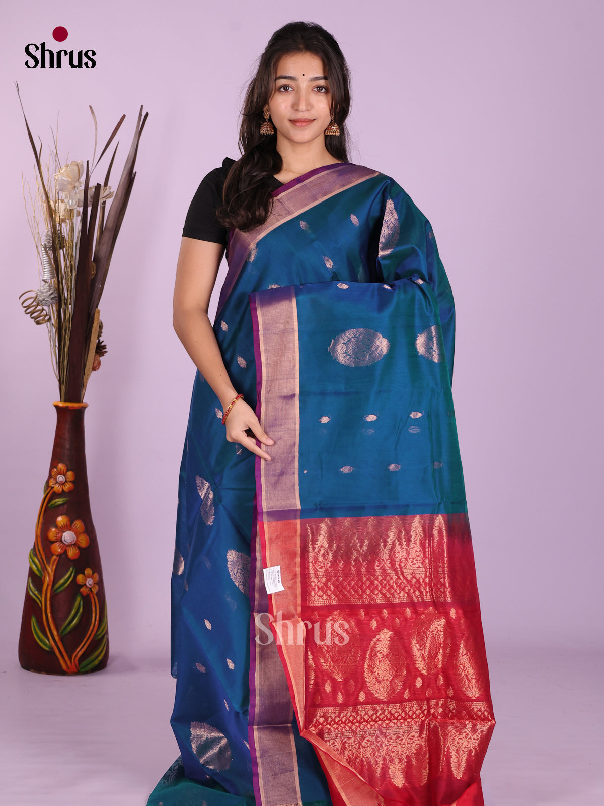 Blue & Red- Timeless Silk Cotton Saree