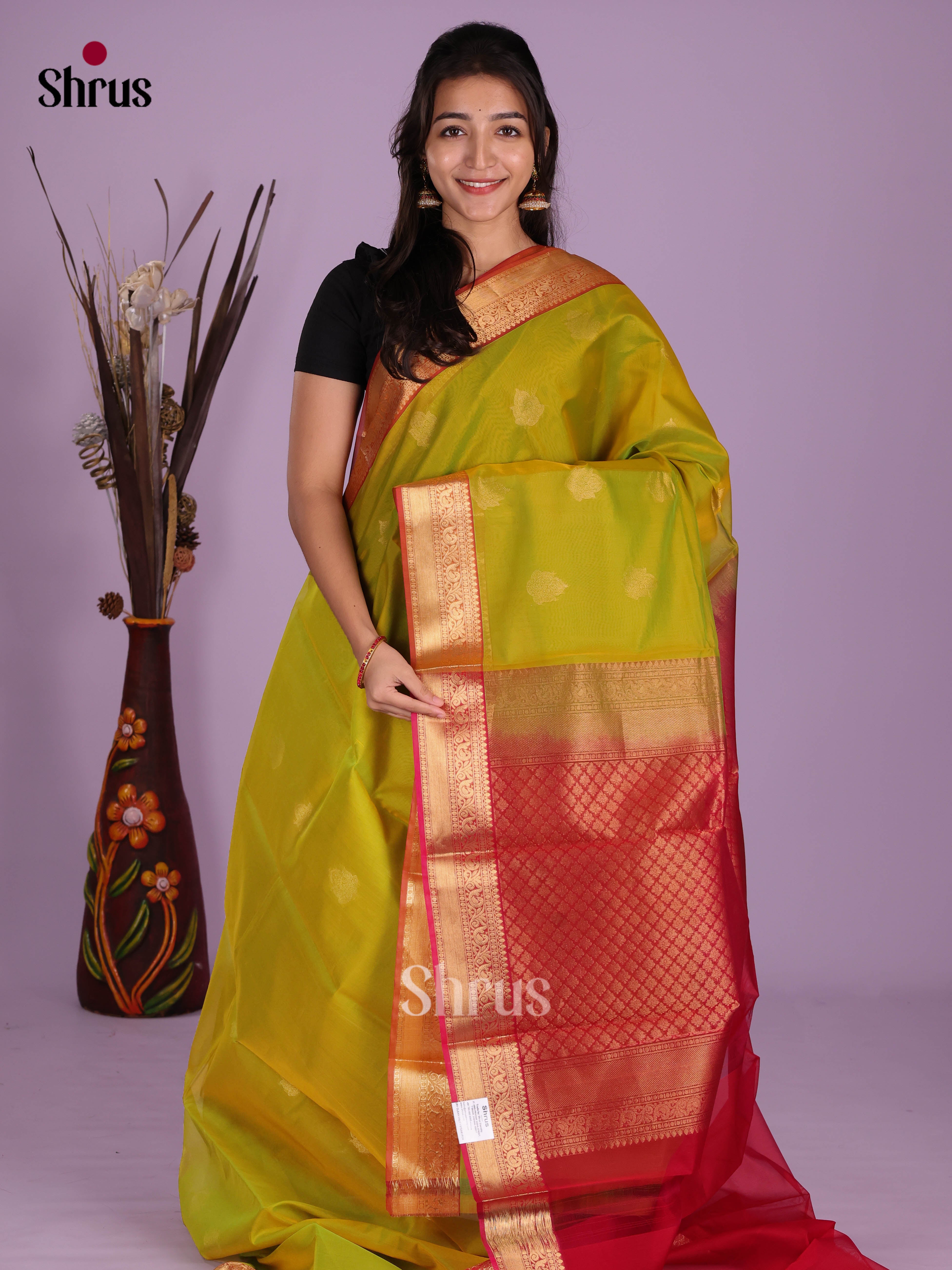 Light Green & Red - Timeless Silk Cotton Saree