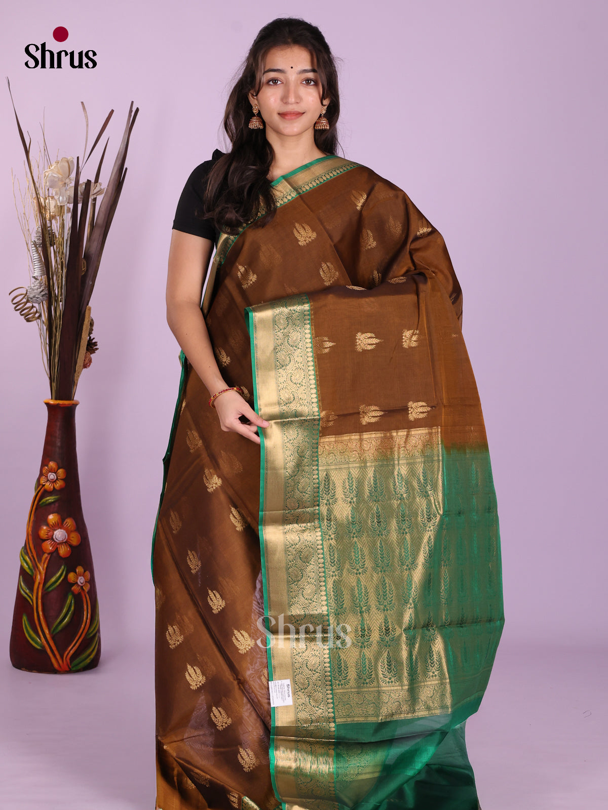 Brown & Green - Timeless Silk Cotton Saree