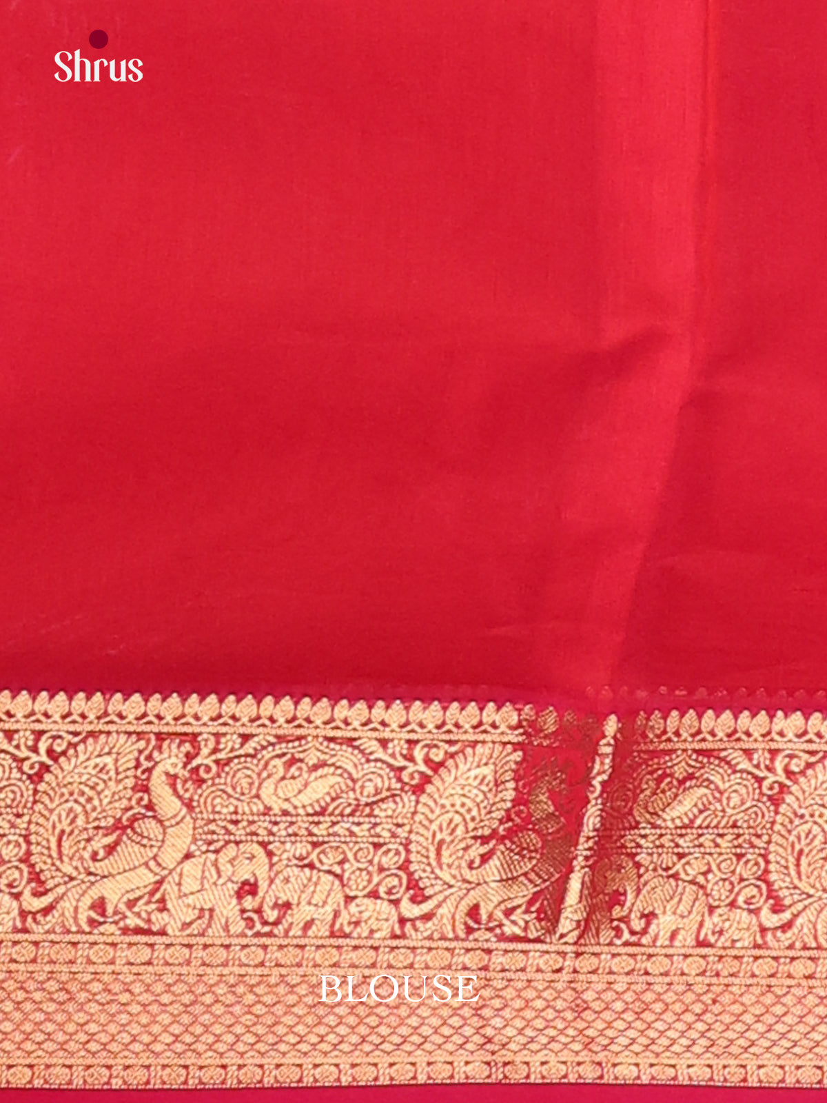 Orange & Red- Timeless Silk Cotton Saree - Shop on Shrus.com