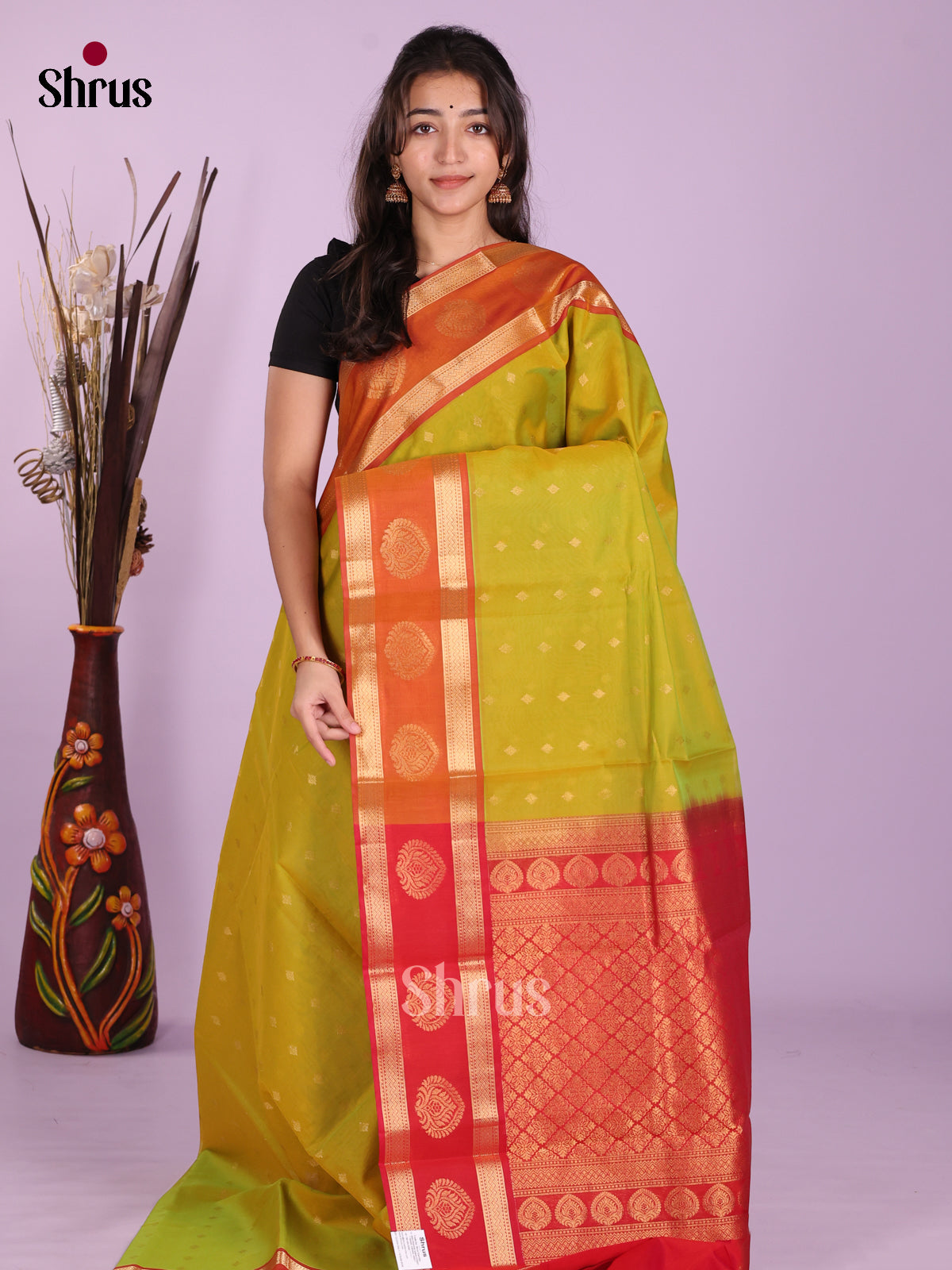 Light Green & Red - Timeless Silk Cotton Saree - Shop on Shrus.com