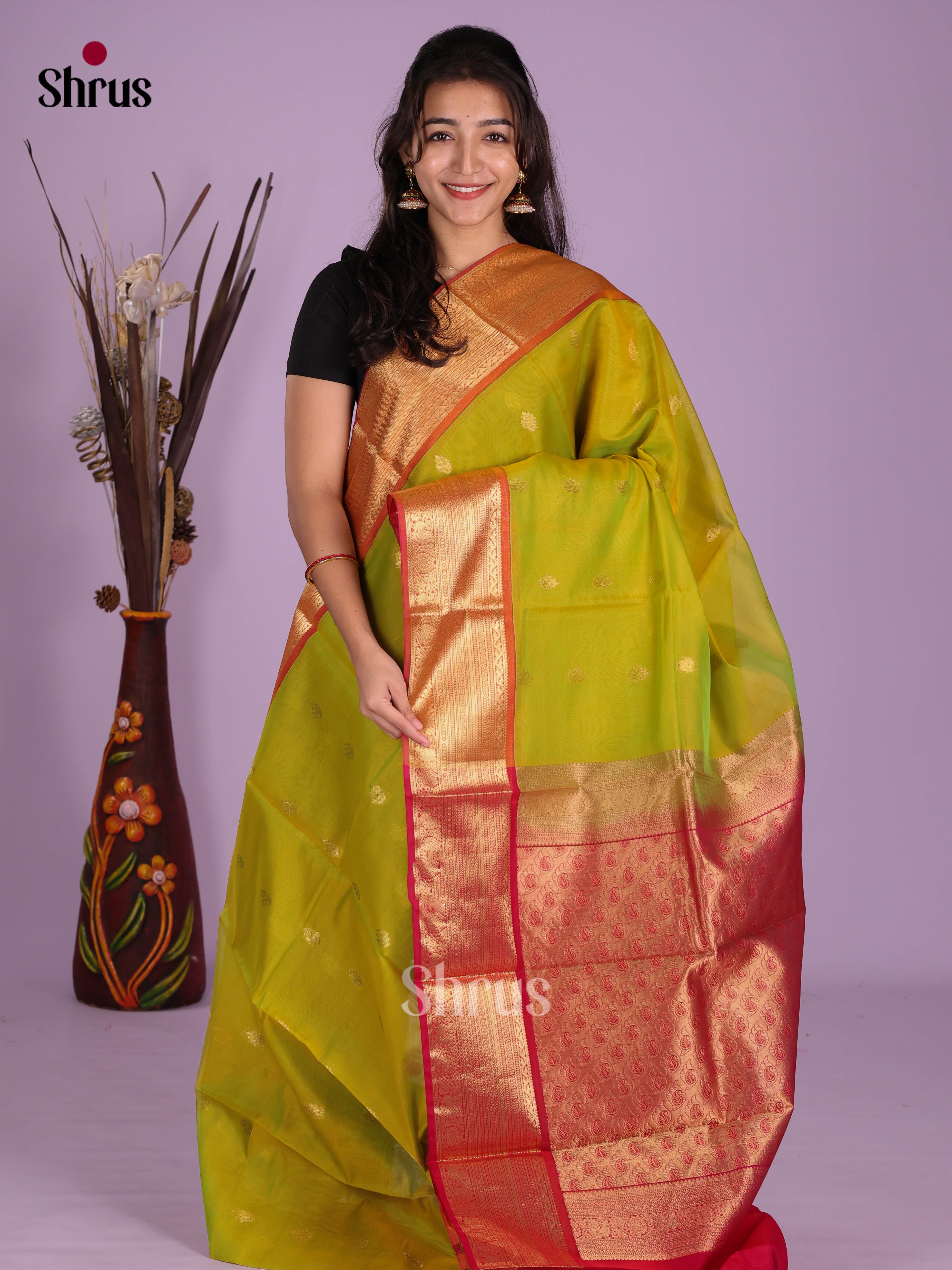 Light Green & Red - Timeless Silk Cotton Saree - Shop on Shrus.com