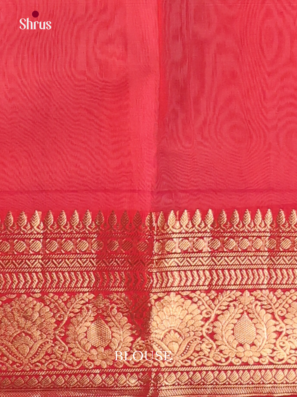 Cream & Red - Timeless Silk Cotton Saree - Shop on Shrus.com