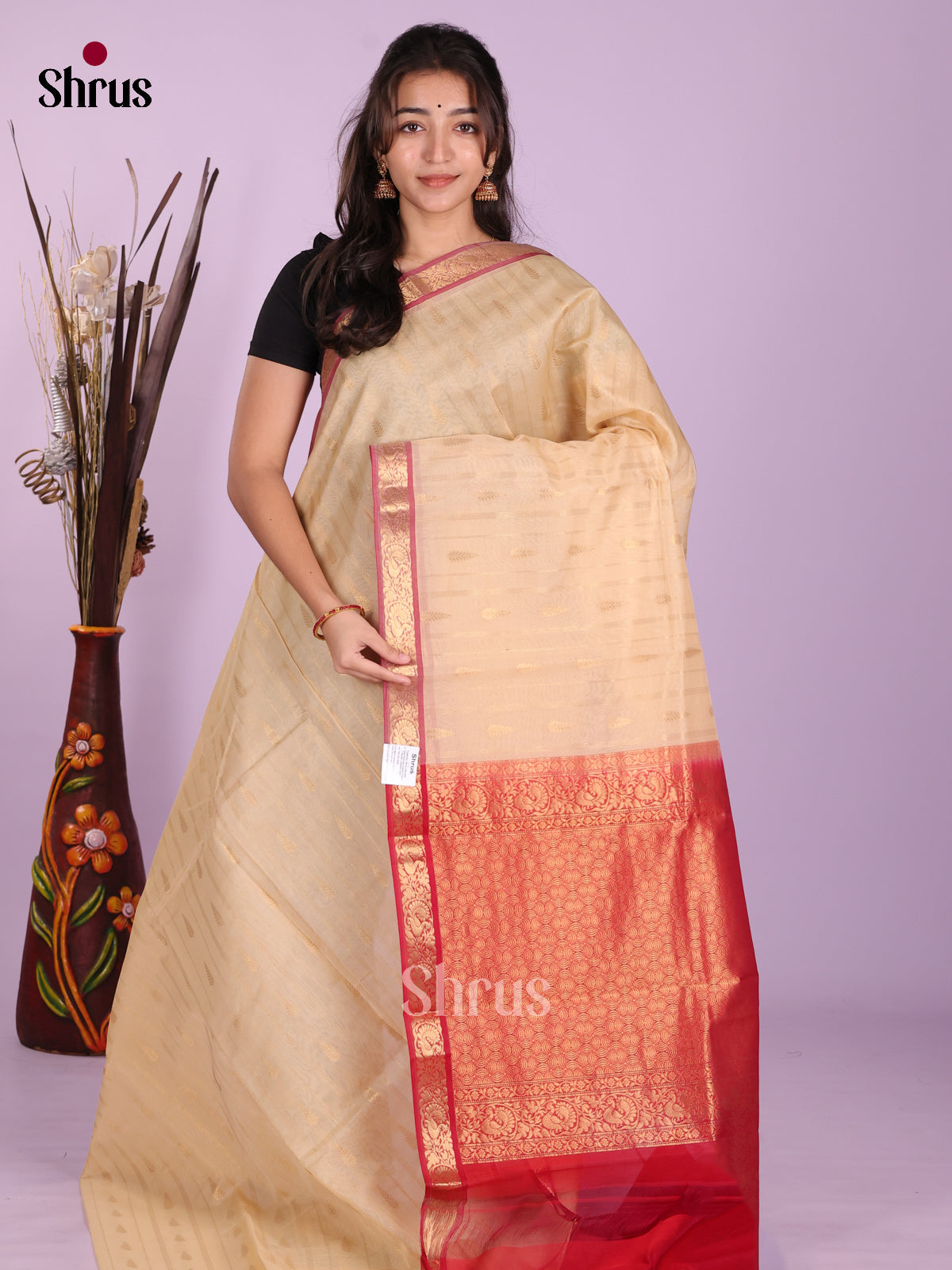 Cream & Red- Timeless Silk Cotton Saree