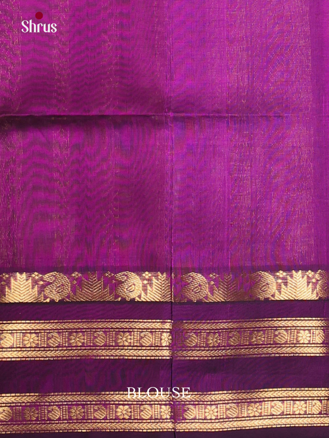 Sandal & Purple - Silk Cotton Saree