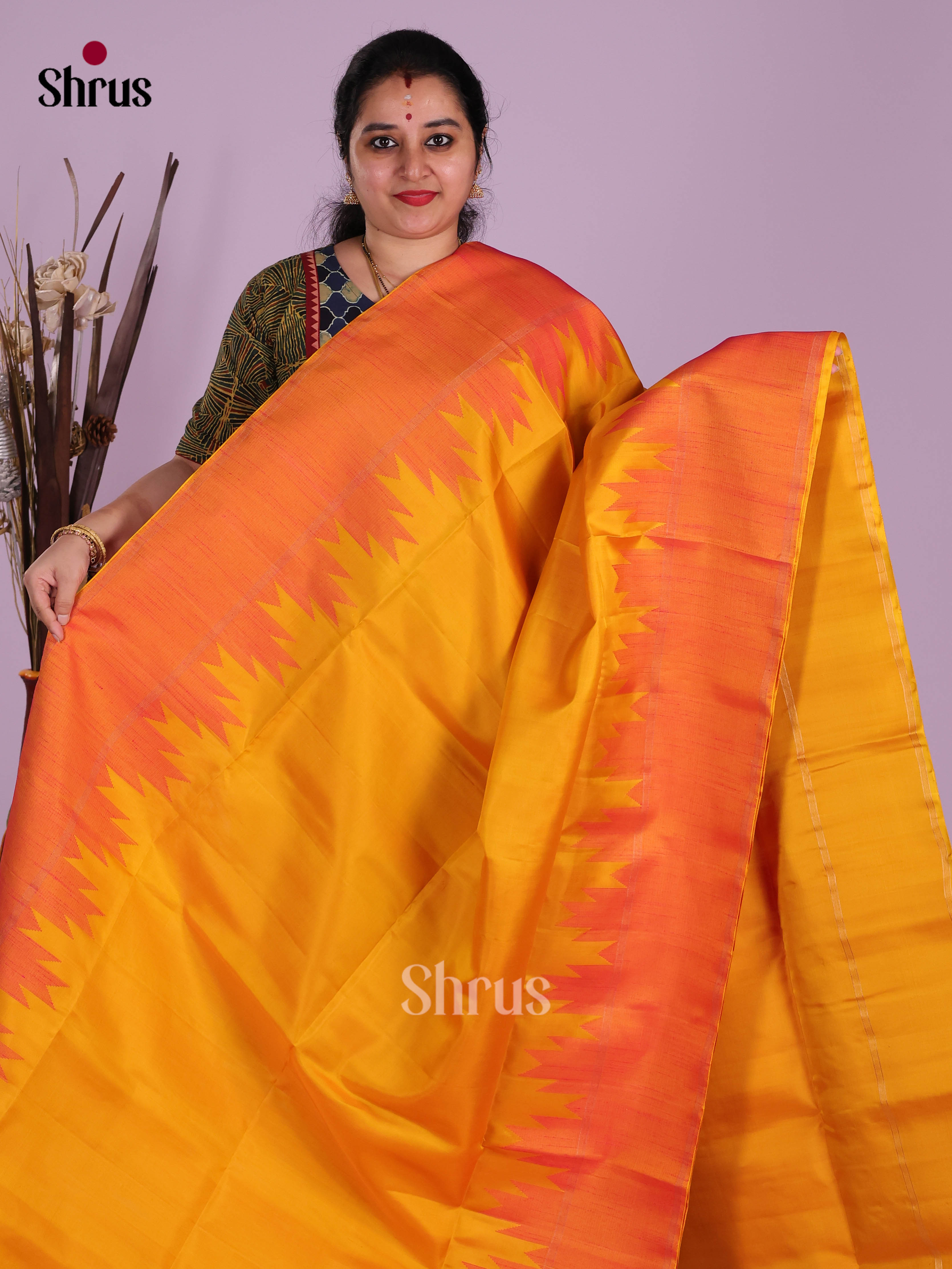 DKS10114 - Soft Silk (HR) Saree - Shop on Shrus.com