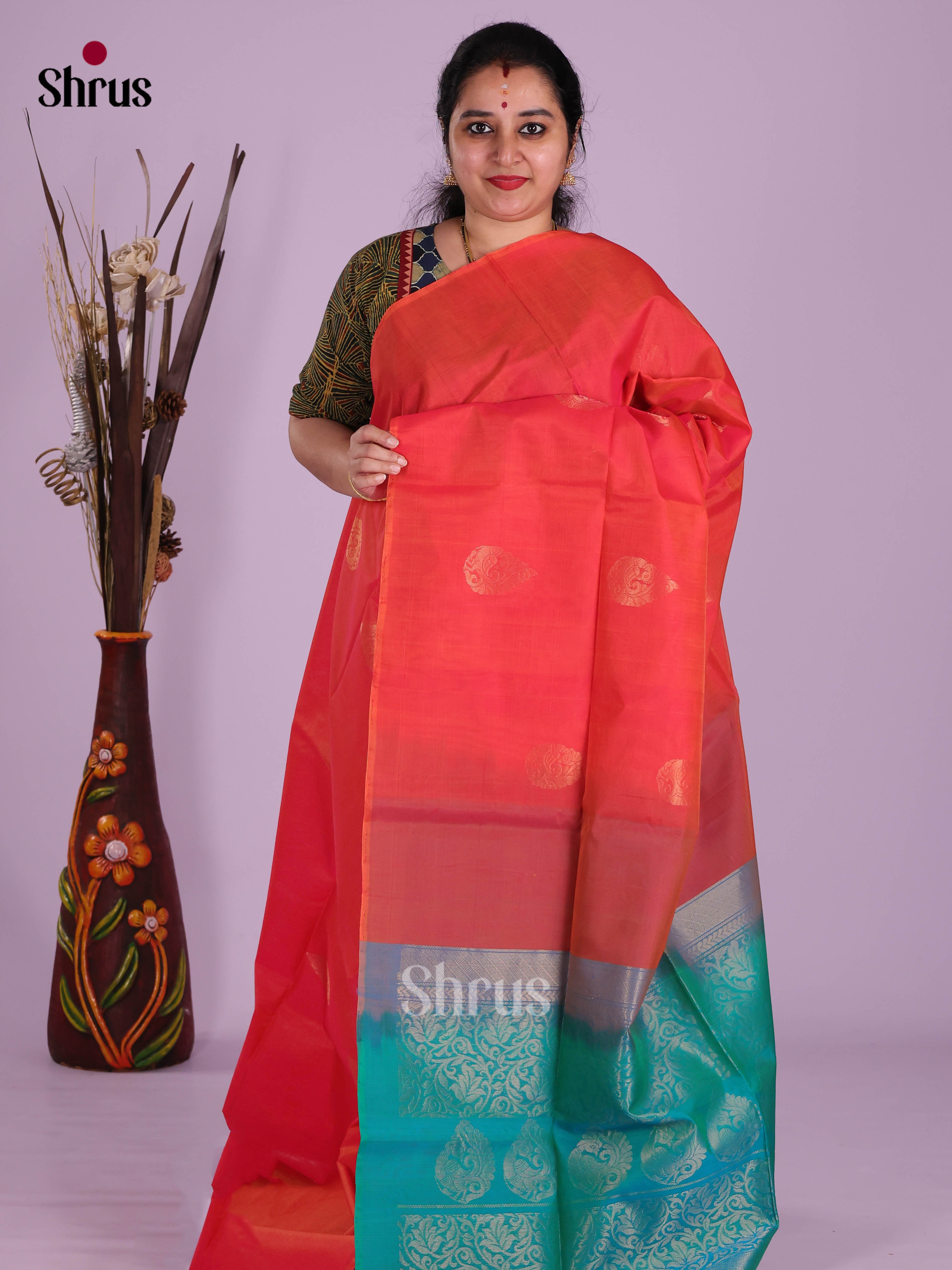 DKS10167 - Timeless Silk Cotton Saree