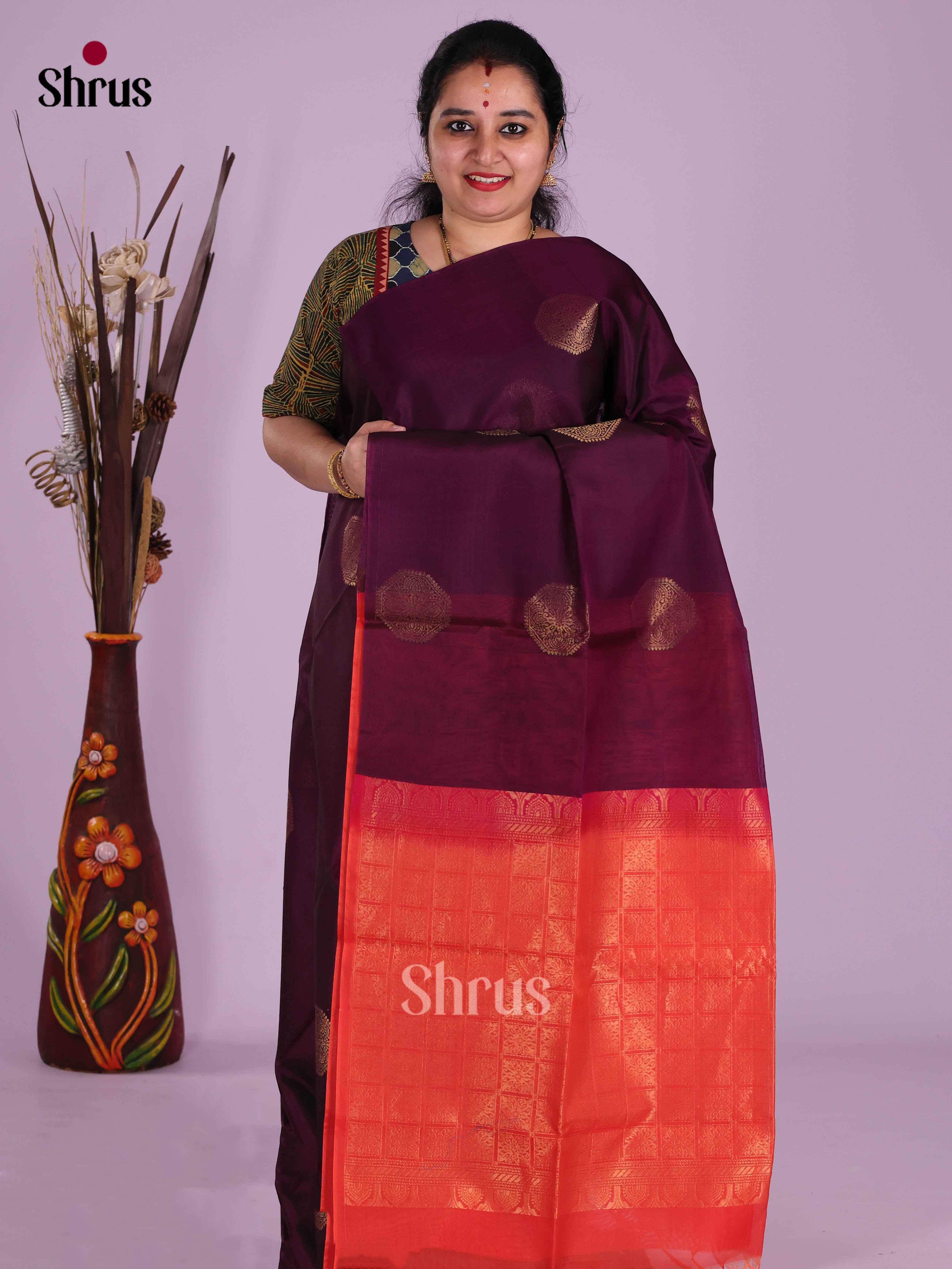 DKS10172 - Timeless Silk Cotton Saree